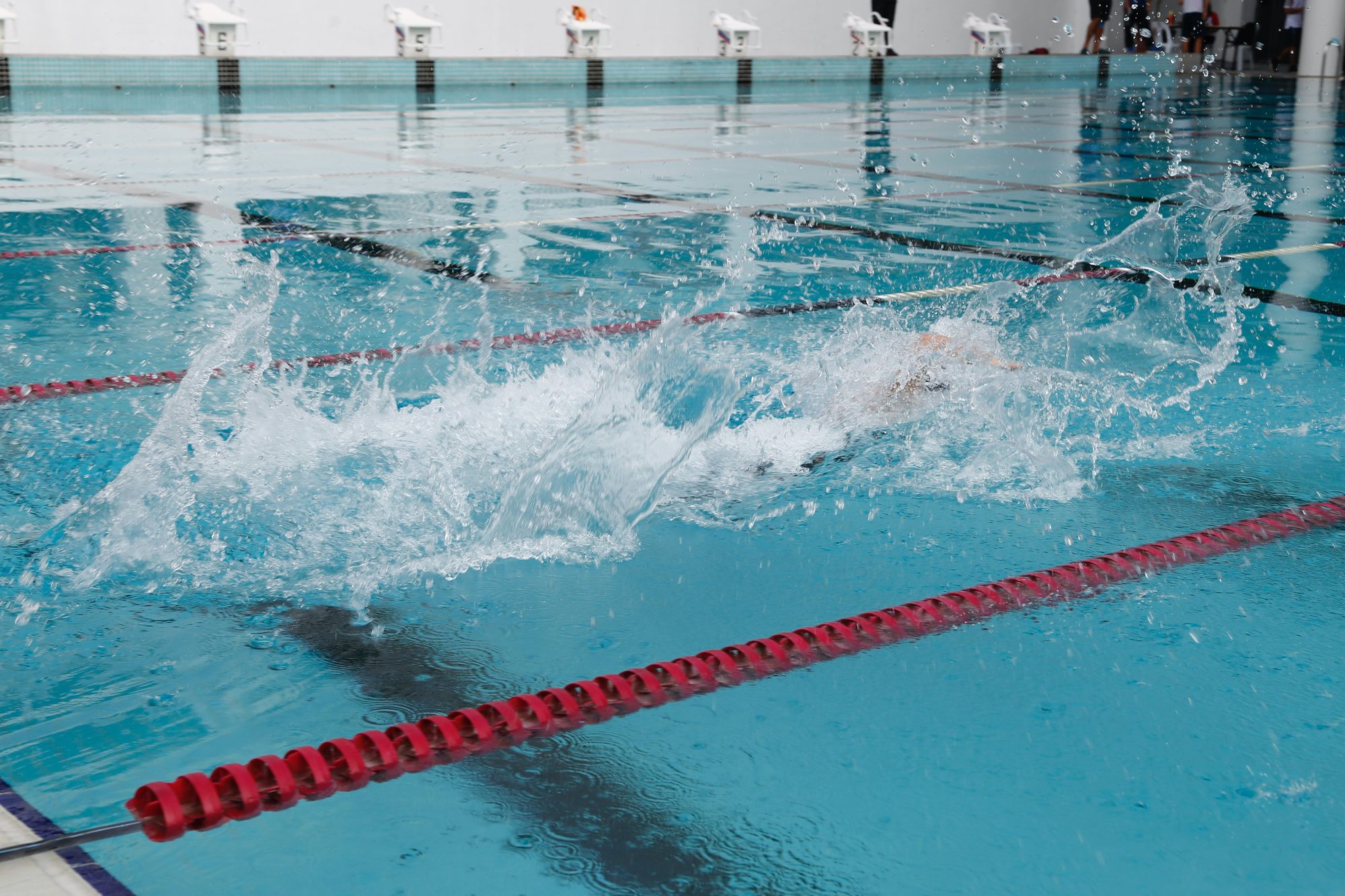 Vibrant action shot capturing water splash in a swimming pool racing lane.