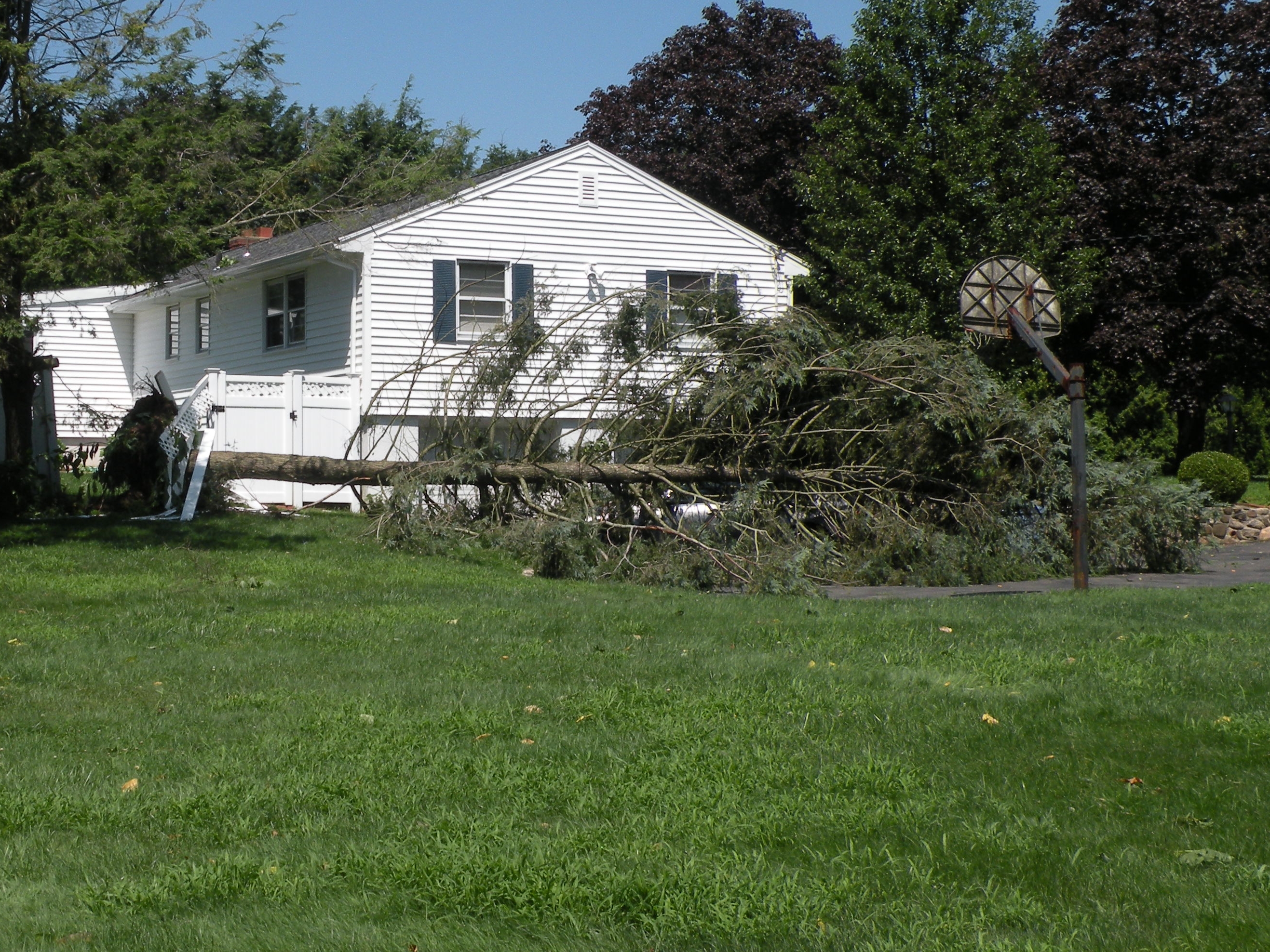 Large tree uprooted and fallen across the front yard of a white house.