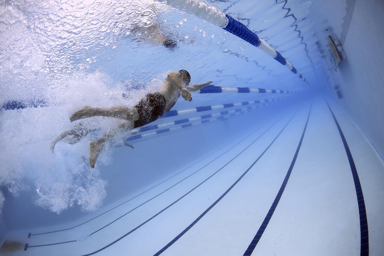 Swimmers, swimming, pool, olympic pool, race, competition, water, lanes, sports, nature, water sports, athletes, athleti