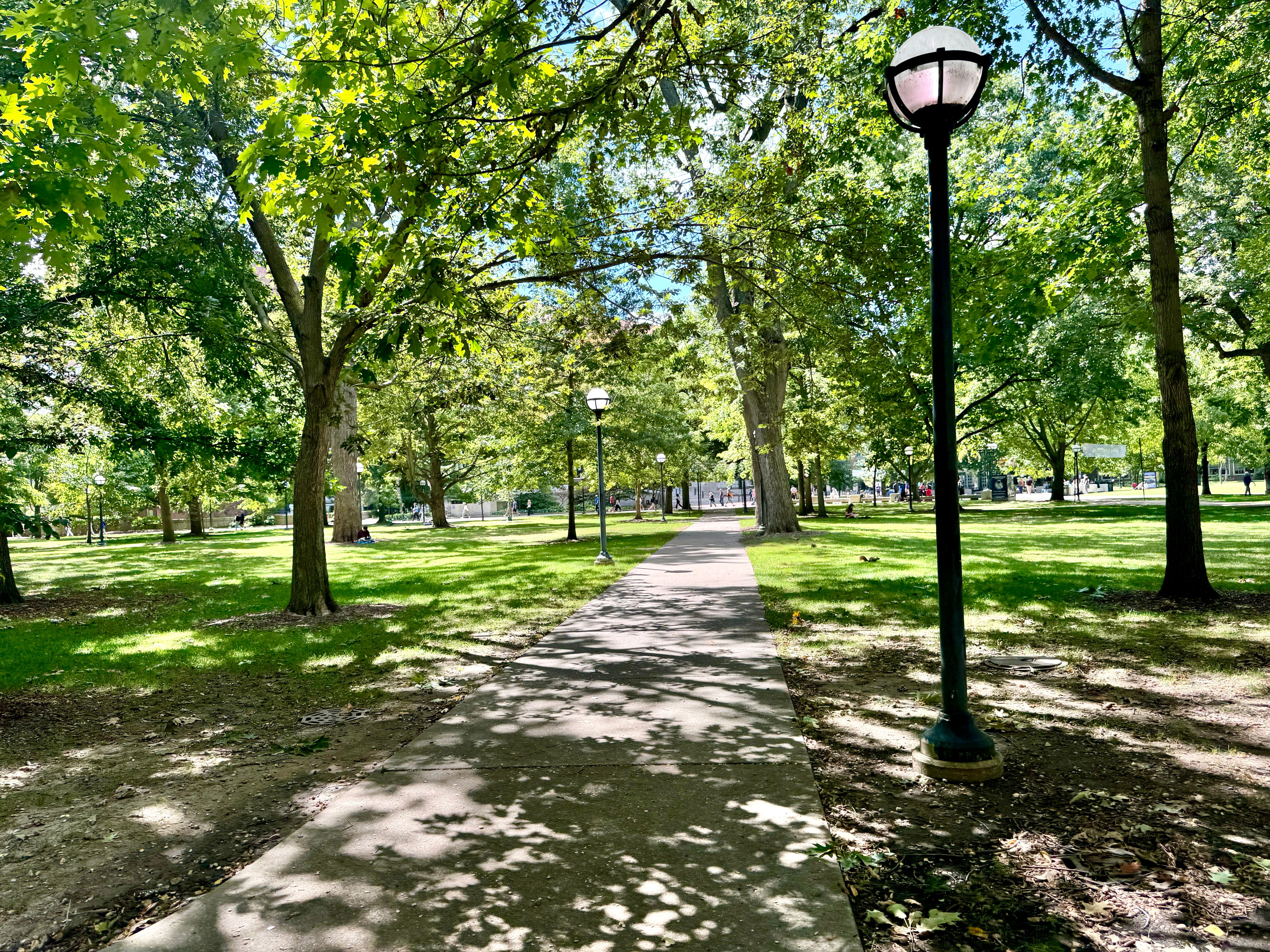Sunlit diagonal walkway lined with trees and lamp posts on a university campus.