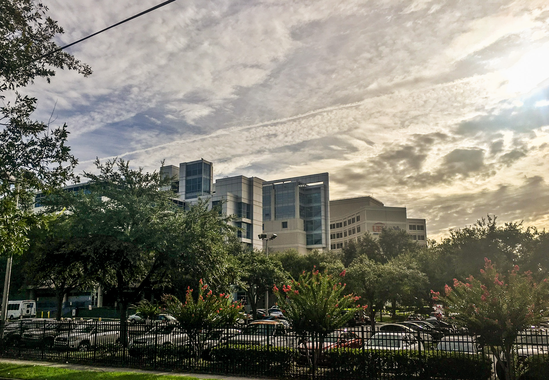 Modern multi-story hospital building behind an iron fence and flowering trees.
