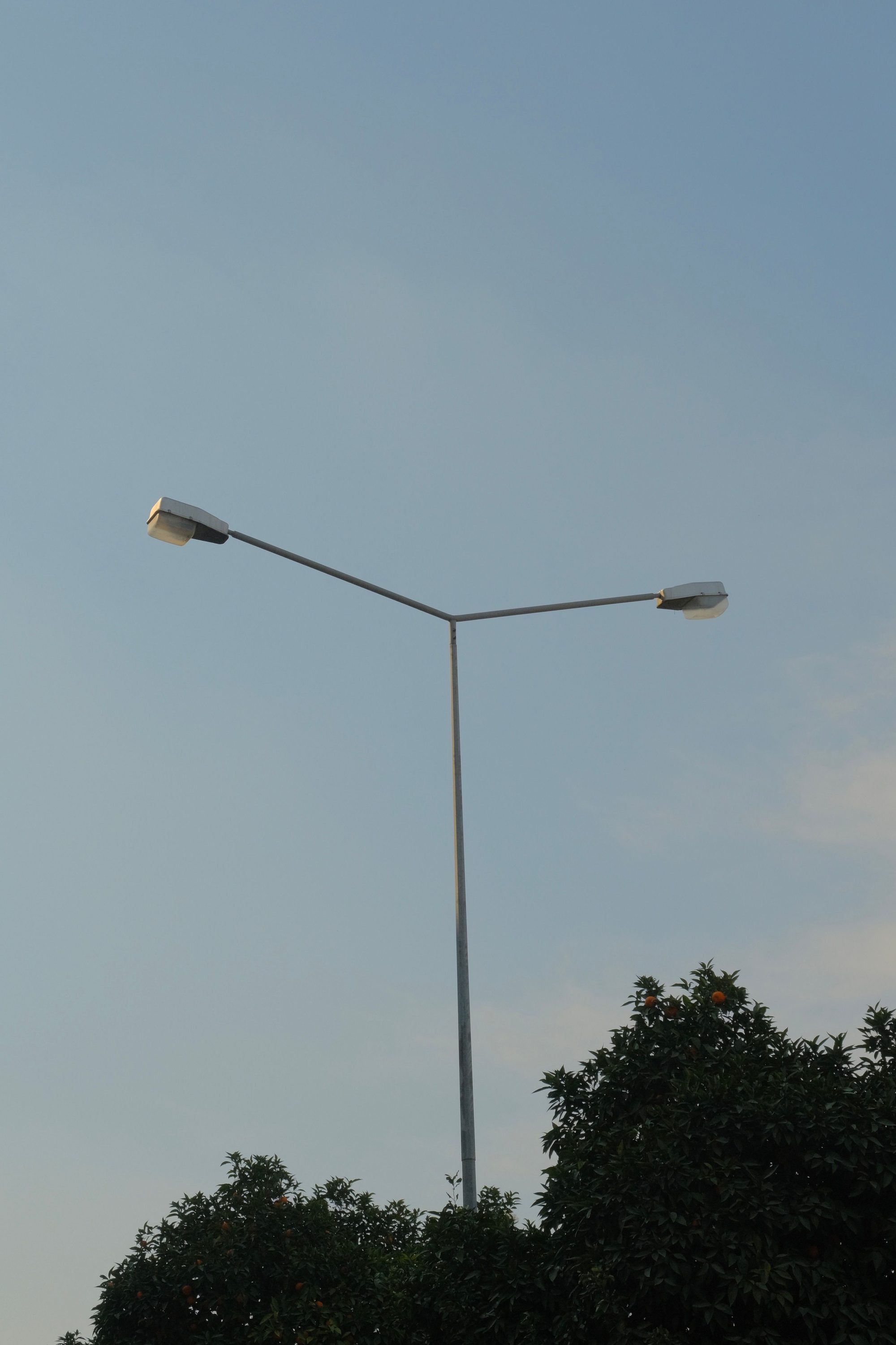 Street lamp with a clear blue sky and trees in the background.