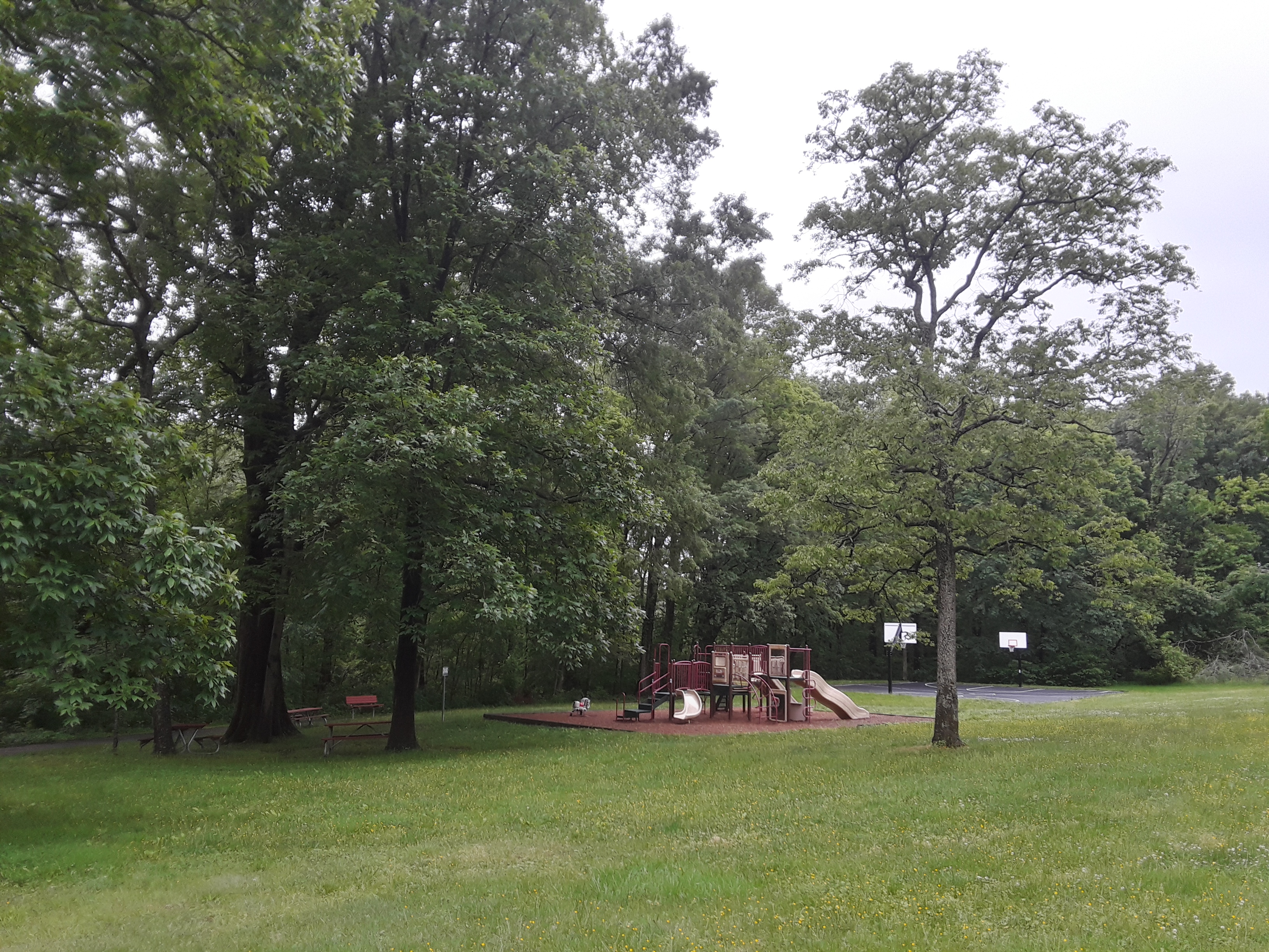 Wooden playground structure with slides surrounded by large trees in a grassy park.