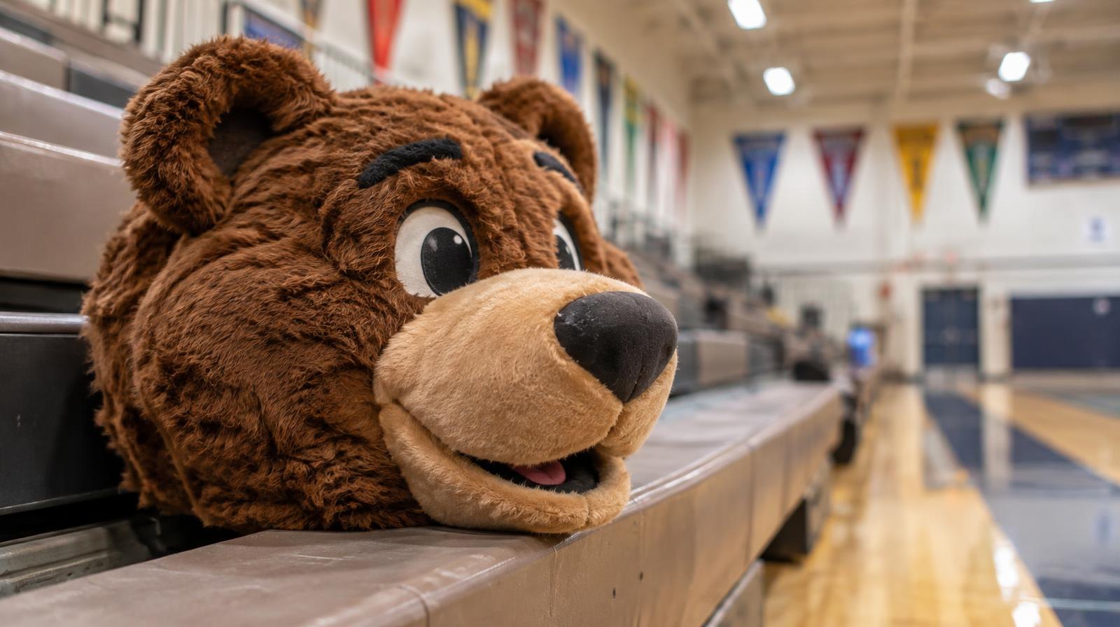 Plush bear mascot costume head resting on bleachers with colorful pennants in the background.