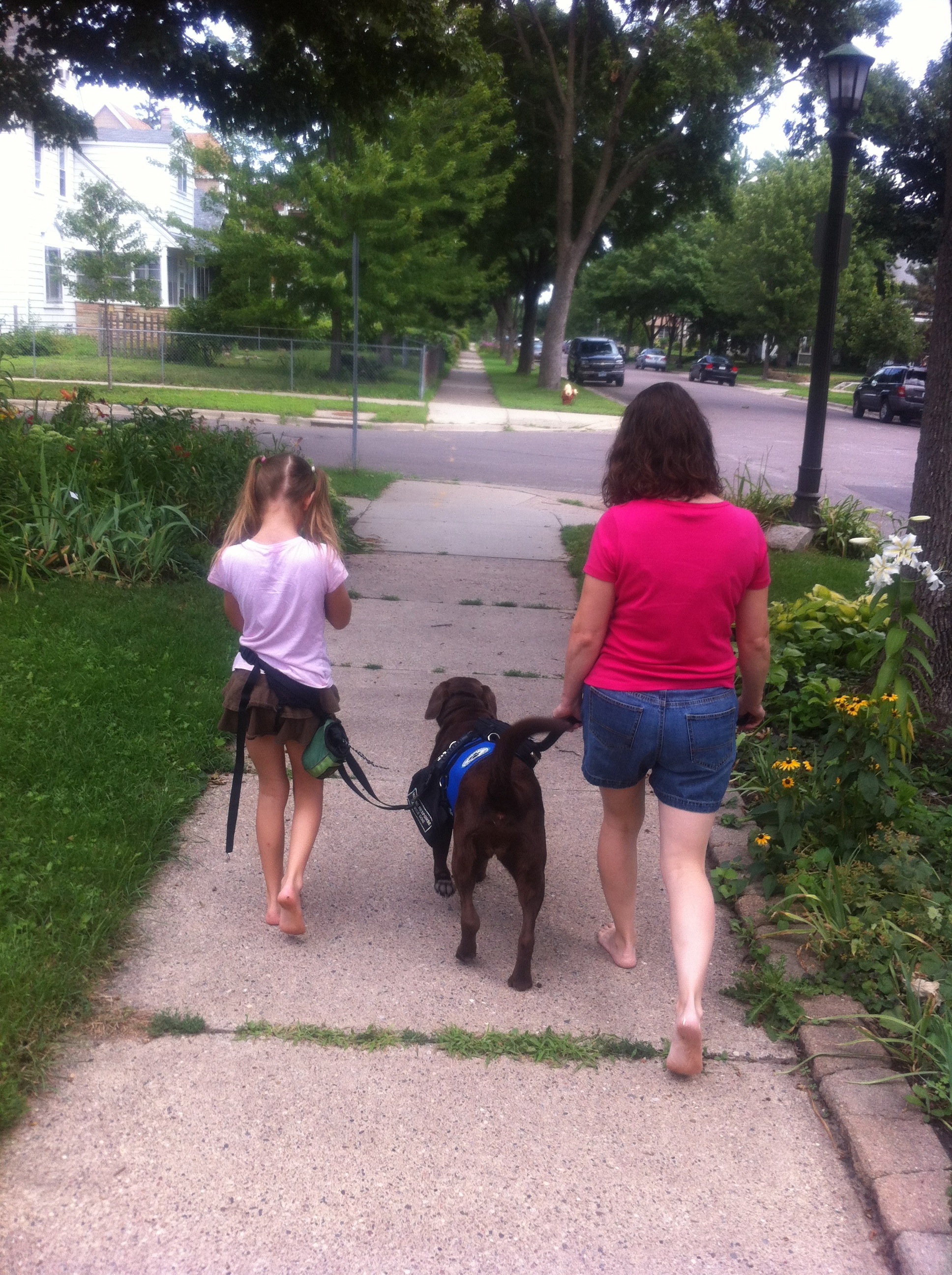 Woman and child walking a dog on a sidewalk, child tethered to the dog's harness.