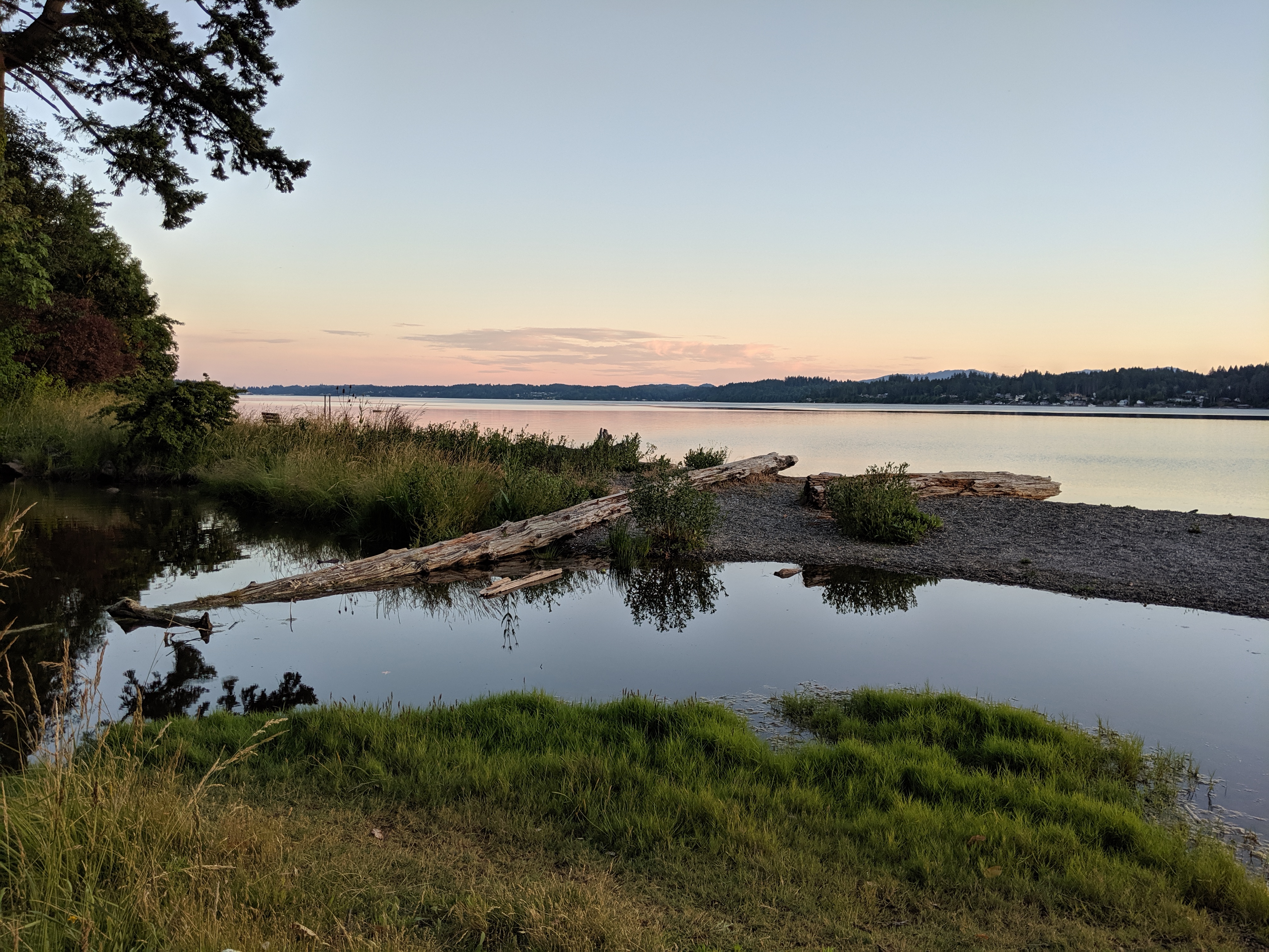 Calm shoreline with driftwood logs, grassy banks, and reflective water at dusk.