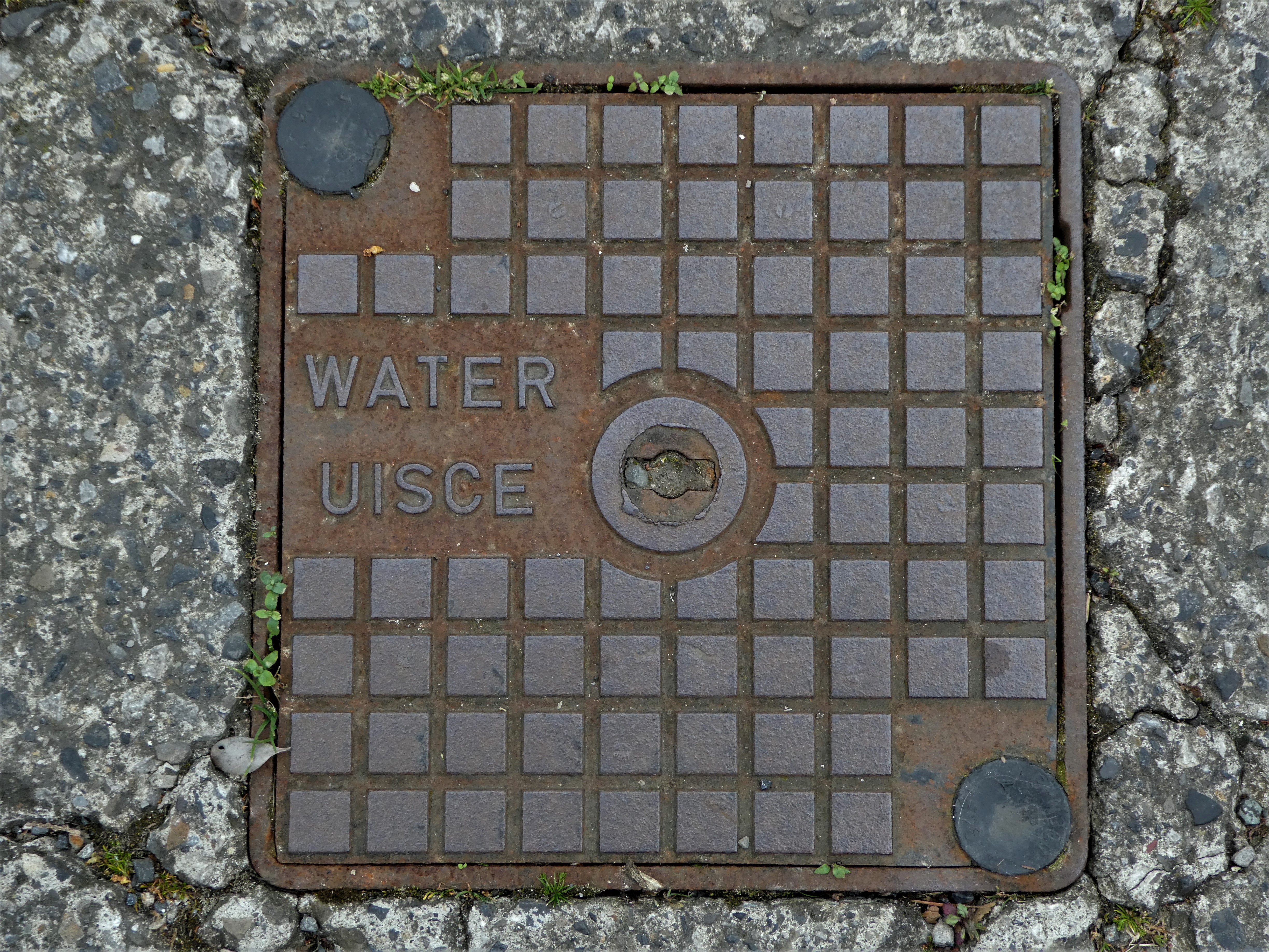 Square metal water valve cover labeled WATER set into stone pavement.