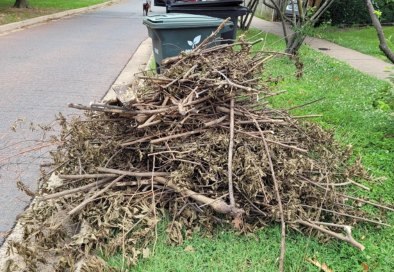 Pile of loose branches and brush placed at a residential curb next to a green waste bin.