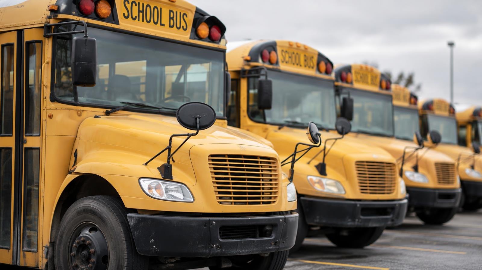 A row of yellow school buses parked side by side in an outdoor lot.