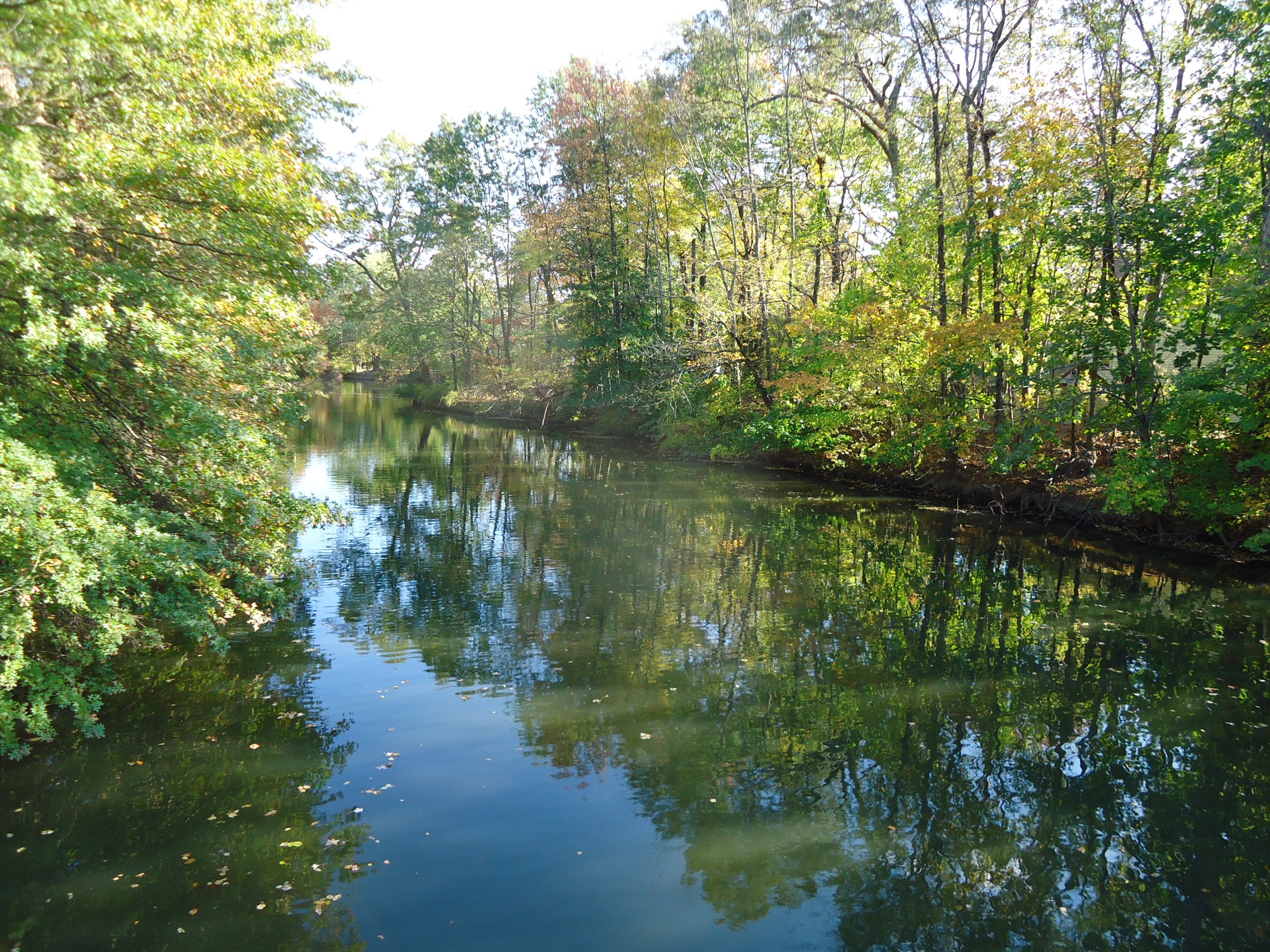 A tree-lined river flowing through a wooded area in early autumn.
