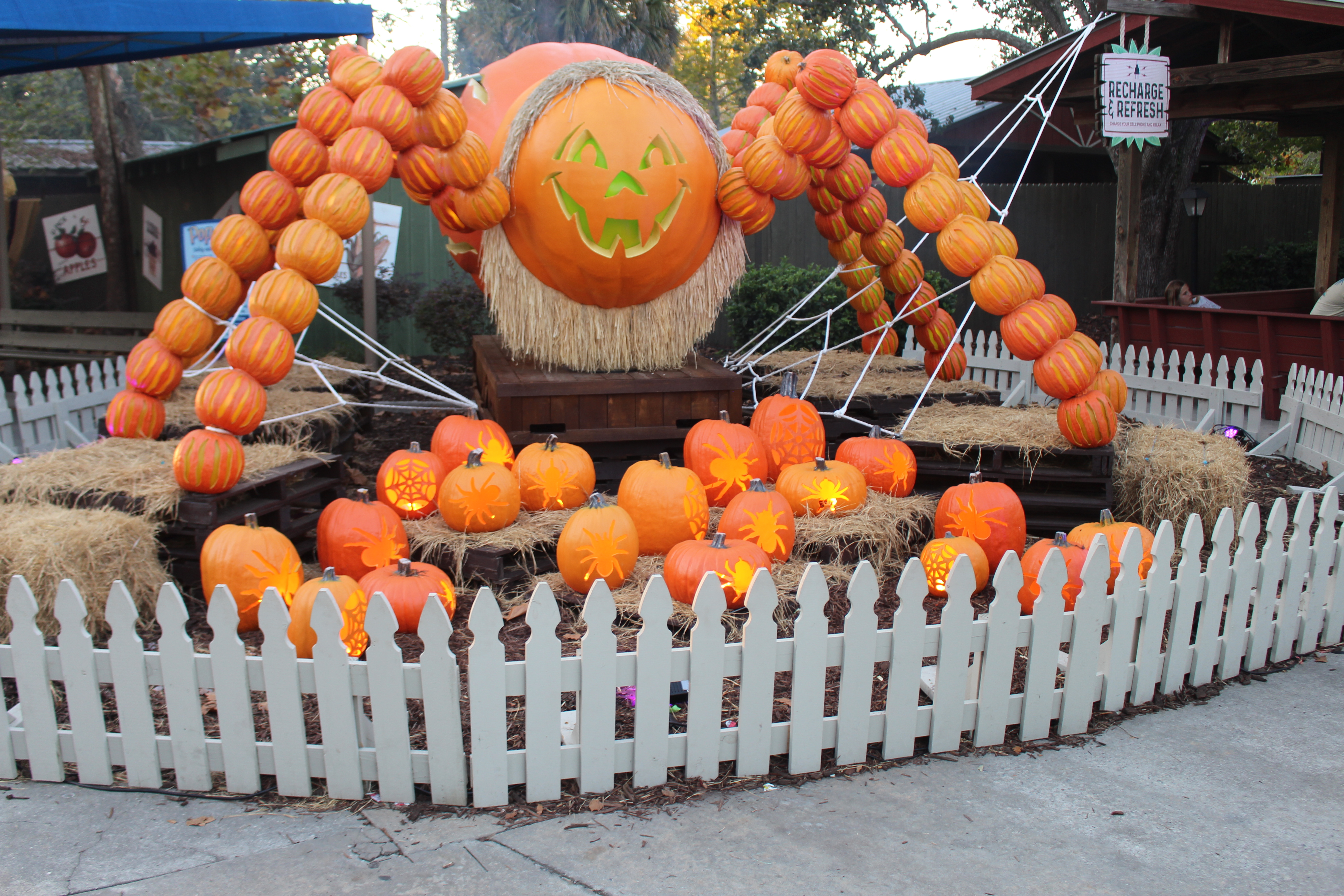 A large spider sculpture made of stacked pumpkins surrounded by carved jack-o'-lanterns on hay bales.