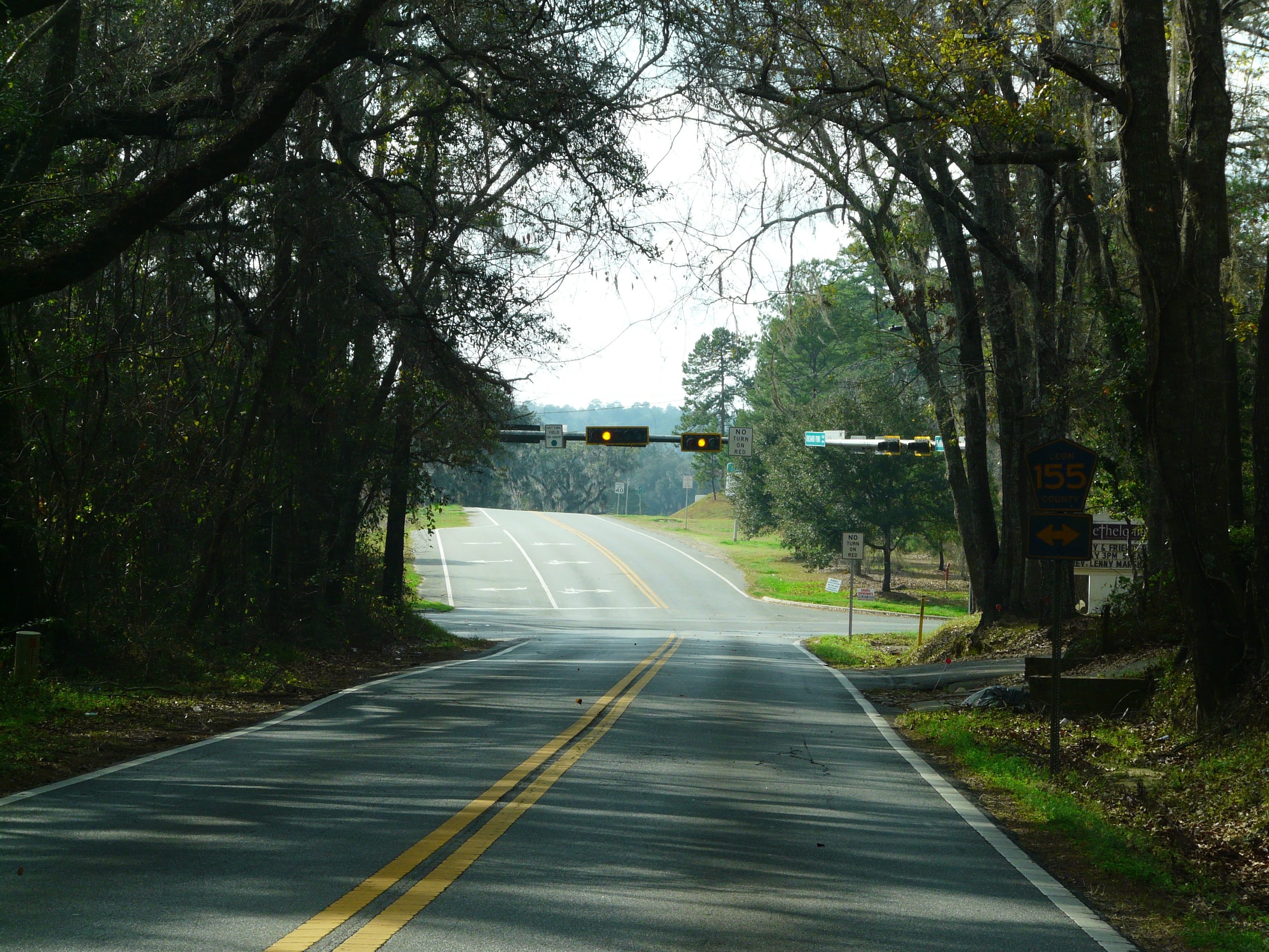 Traffic signal suspended over a two-lane tree-lined suburban road at an intersection.