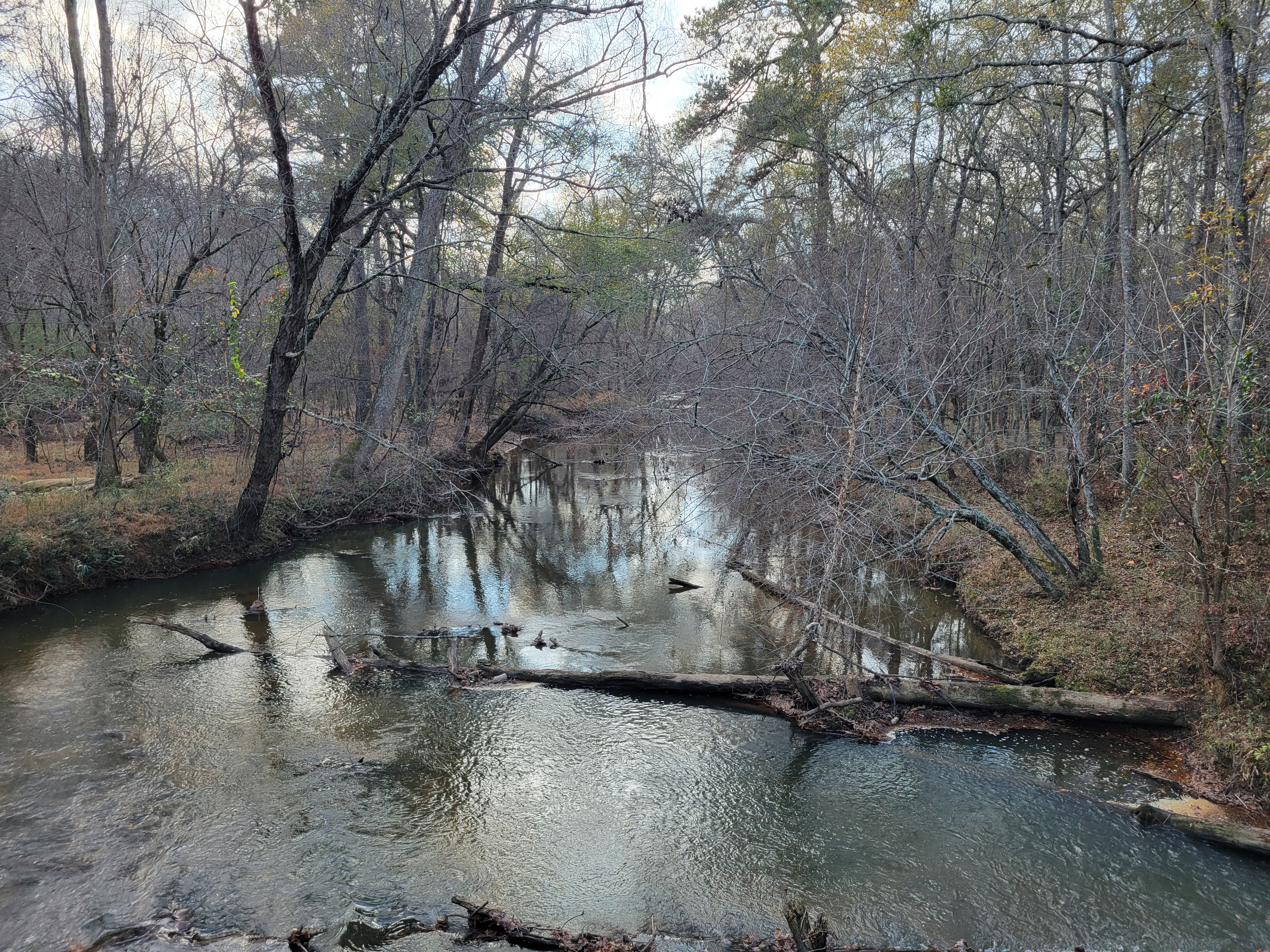 A calm wooded creek with fallen logs crossing the water, surrounded by bare trees.