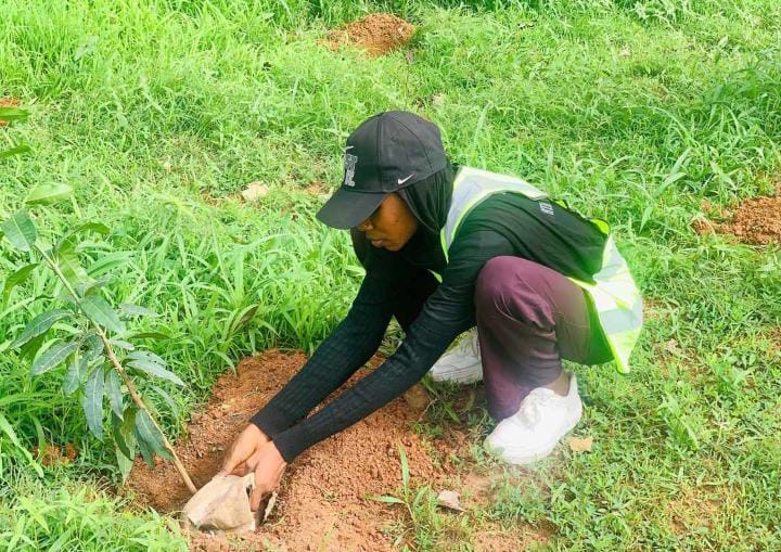 Tree planting project in kaduna state University