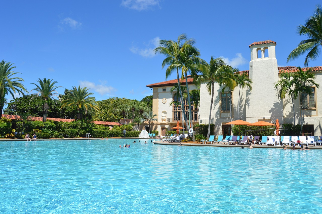 Pool, florida, usa, hotel, biltmore hotel, huge pool, johnny weißmüller, swim, swimming pool, america, florida, florida,