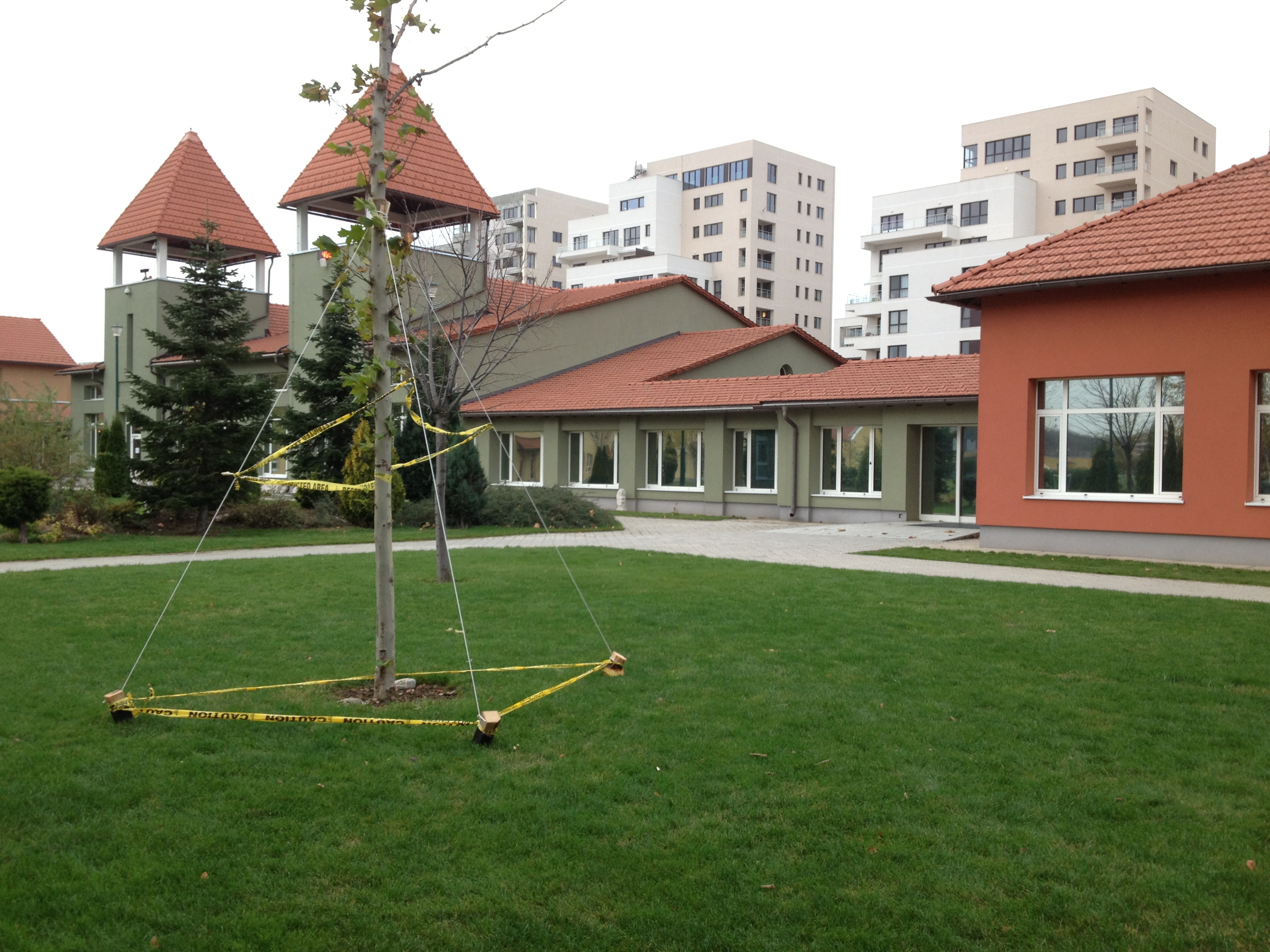 Single-story school library media center building seen across a courtyard with a young tree in the foreground.