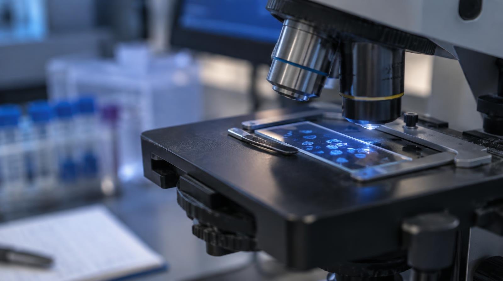 Close-up of glowing blue fluorescent cell cultures on a microscope slide holder.