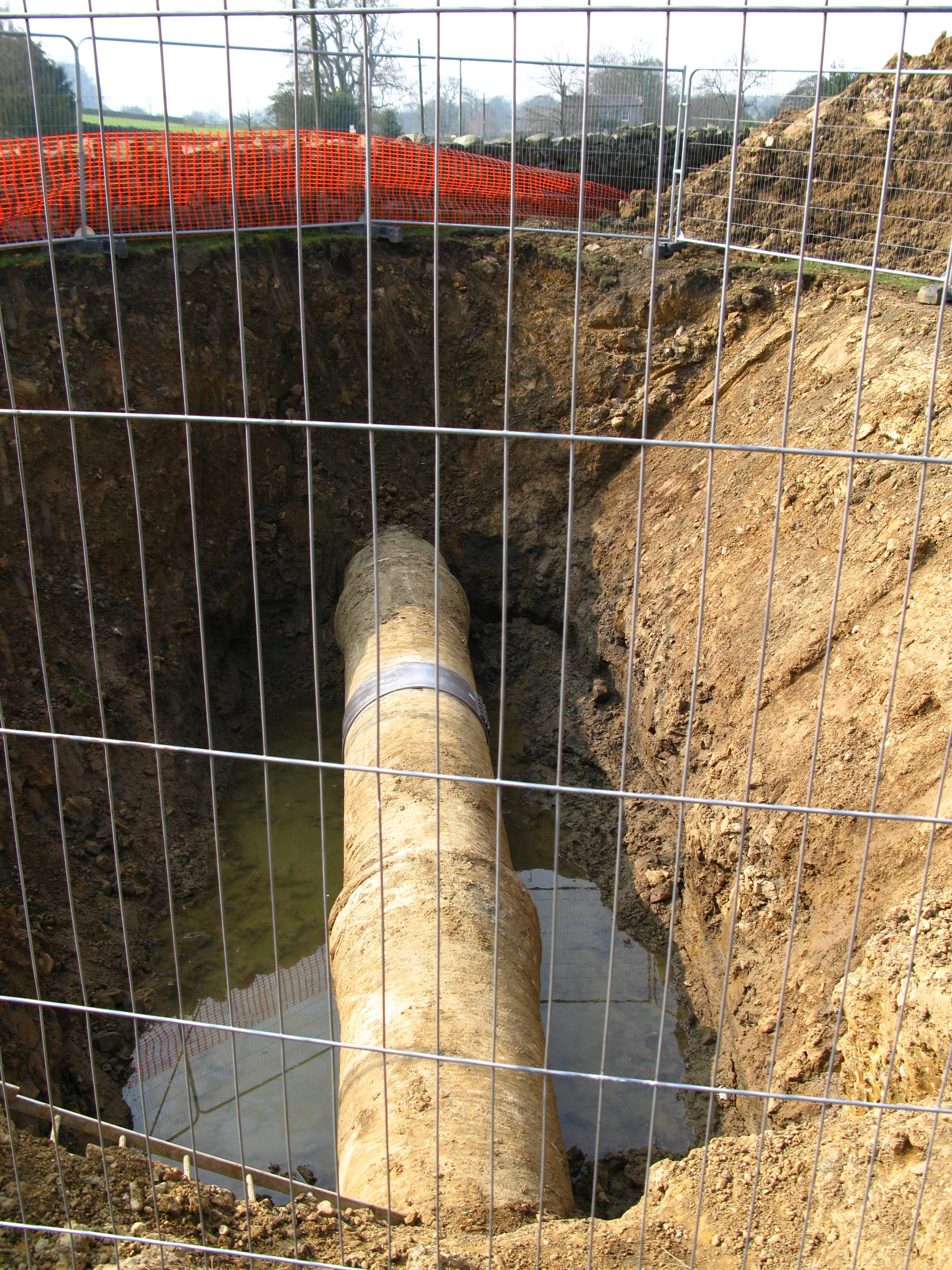 Water Main, Tang