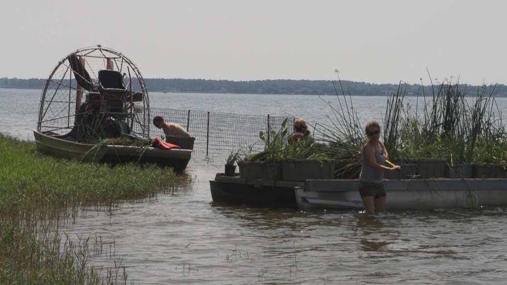 An airboat moored beside a flat-bottomed barge near a vegetated lake shoreline.