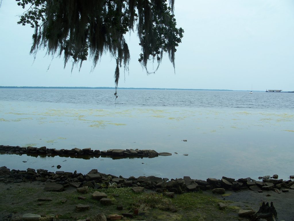 The St. Johns River beneath the Shands Bridge in St. Johns County. File photo.