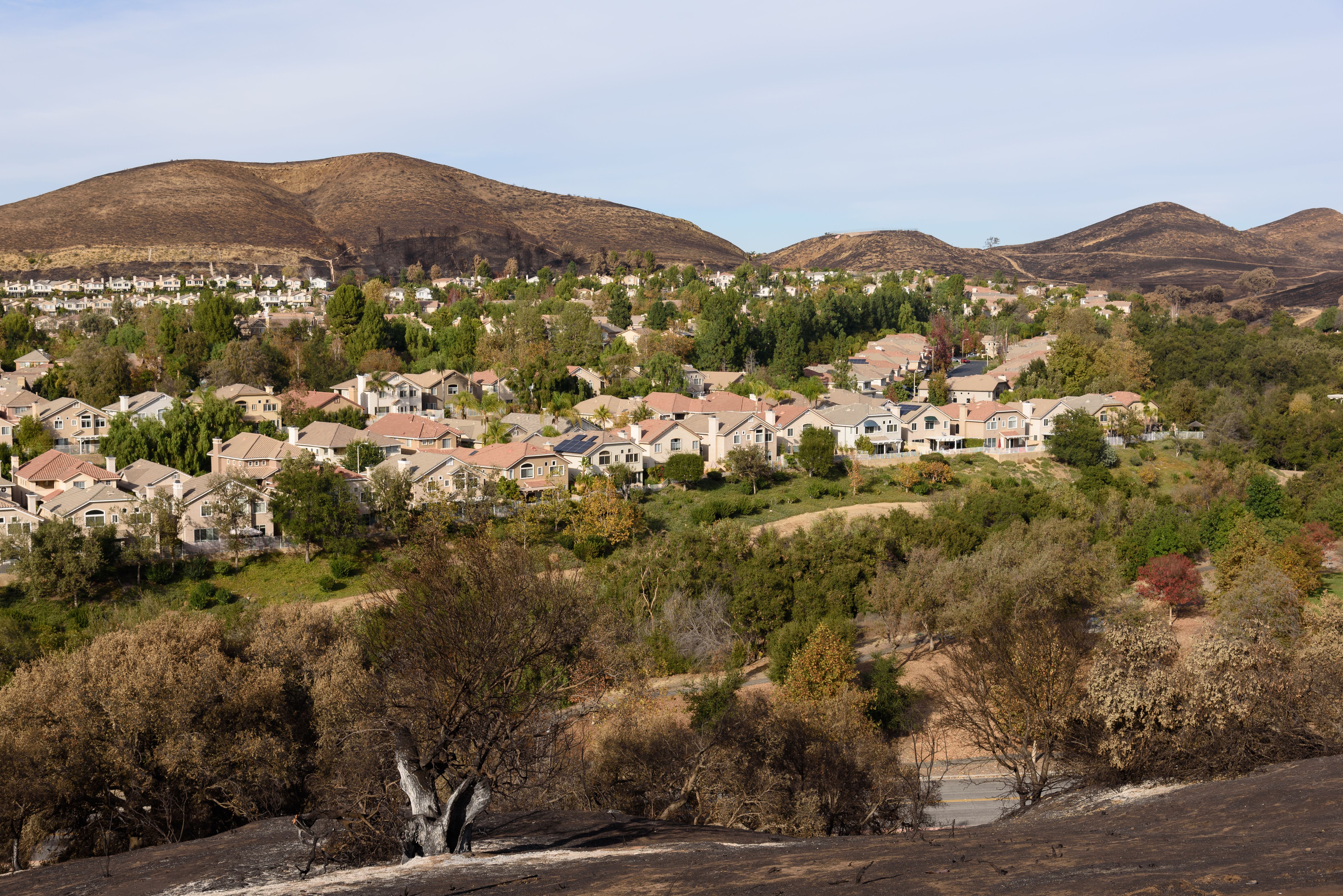 Hillside residential neighborhood surrounded by trees and rolling open space.