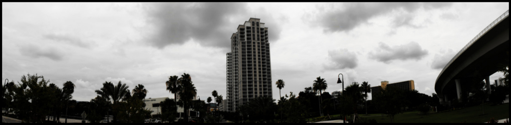 Panoramic view of a coastal city skyline with a tall high-rise, palm trees, and a causeway bridge.