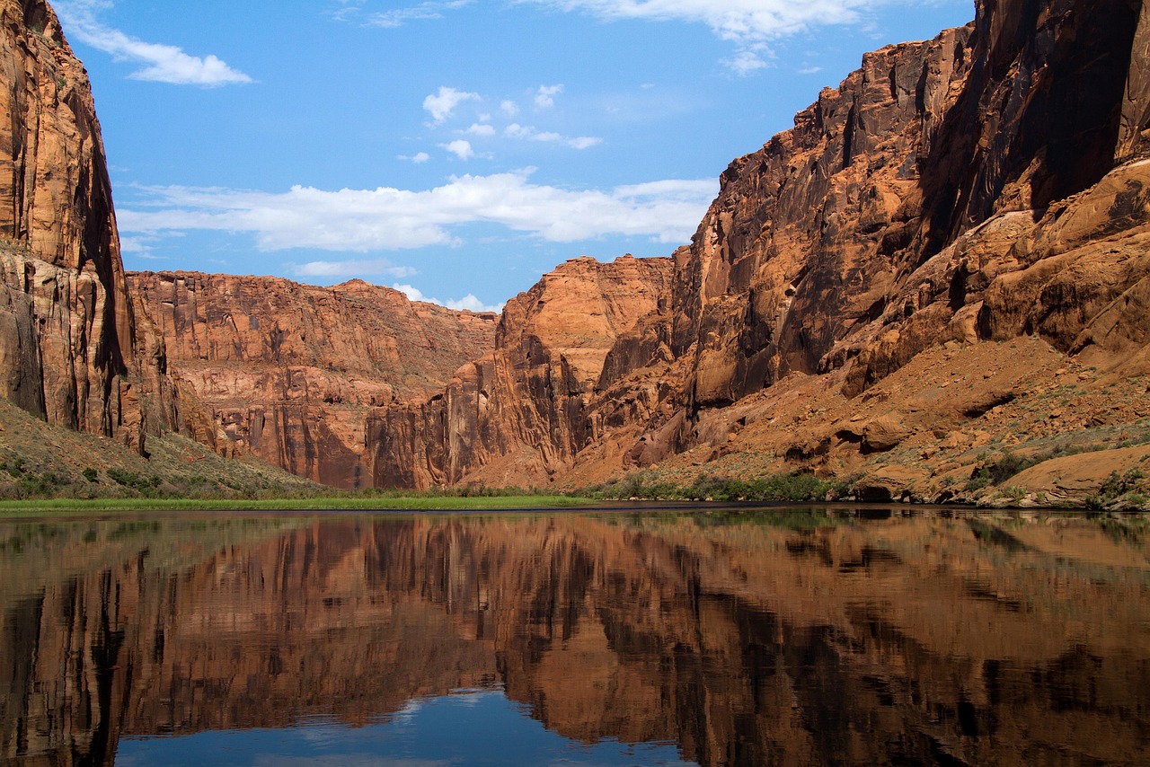 Colorado, colorado river, arizona, water, nature, america, river