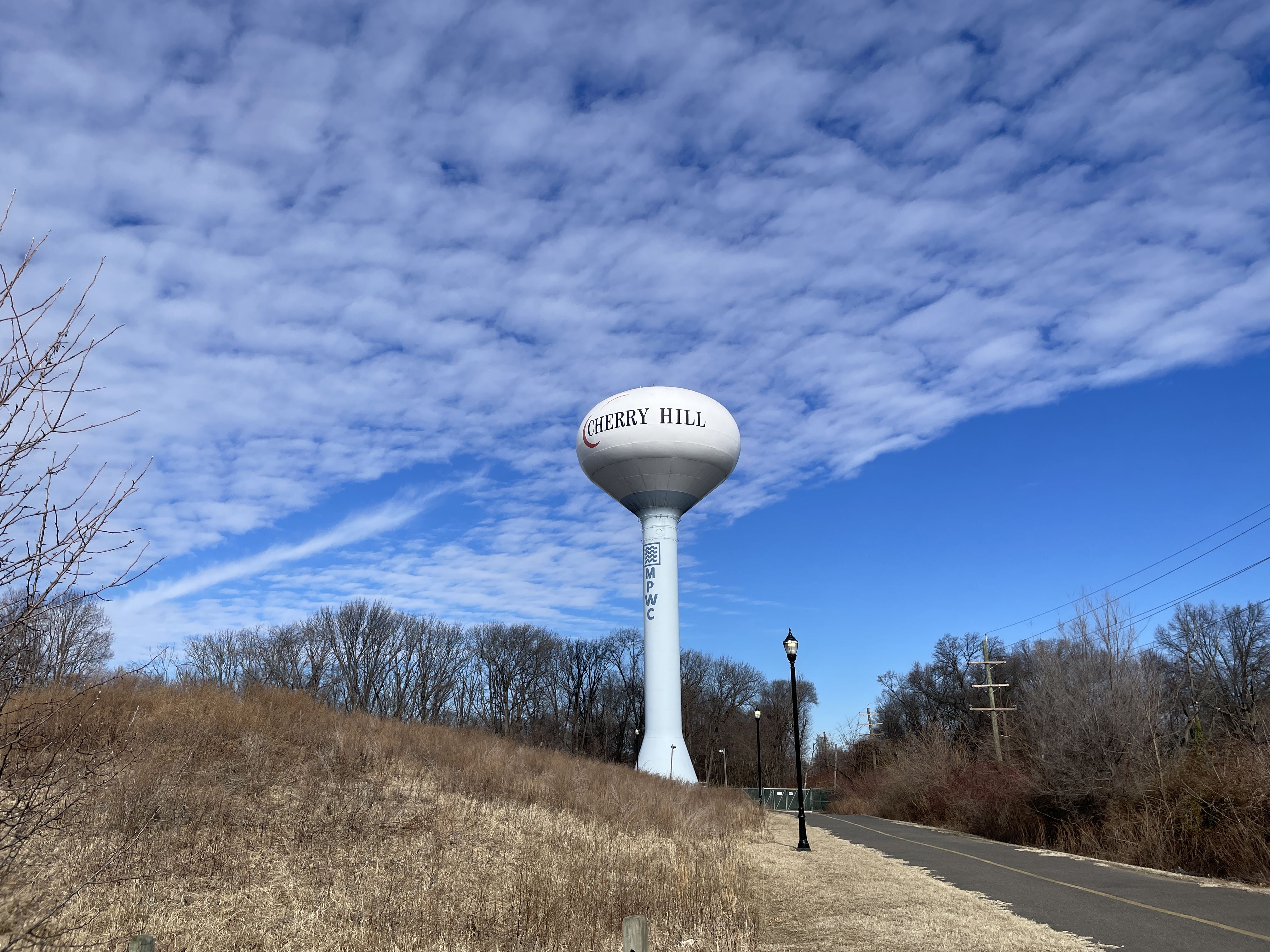 White spherical water tower labeled 'Cherry Hill' rising above bare winter trees.