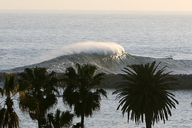 A large wave crests and breaks near shore, palm trees silhouetted in the foreground.