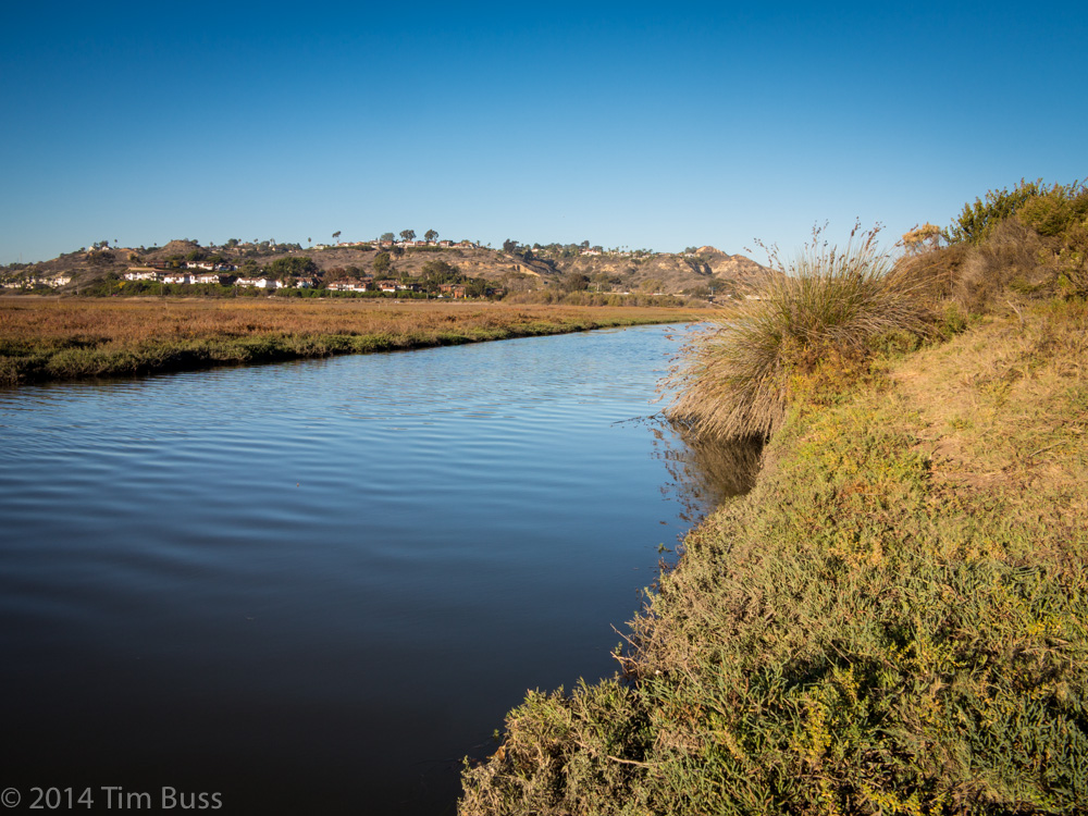 Narrow tidal channel flanked by coastal scrub, with residential hills in the background.