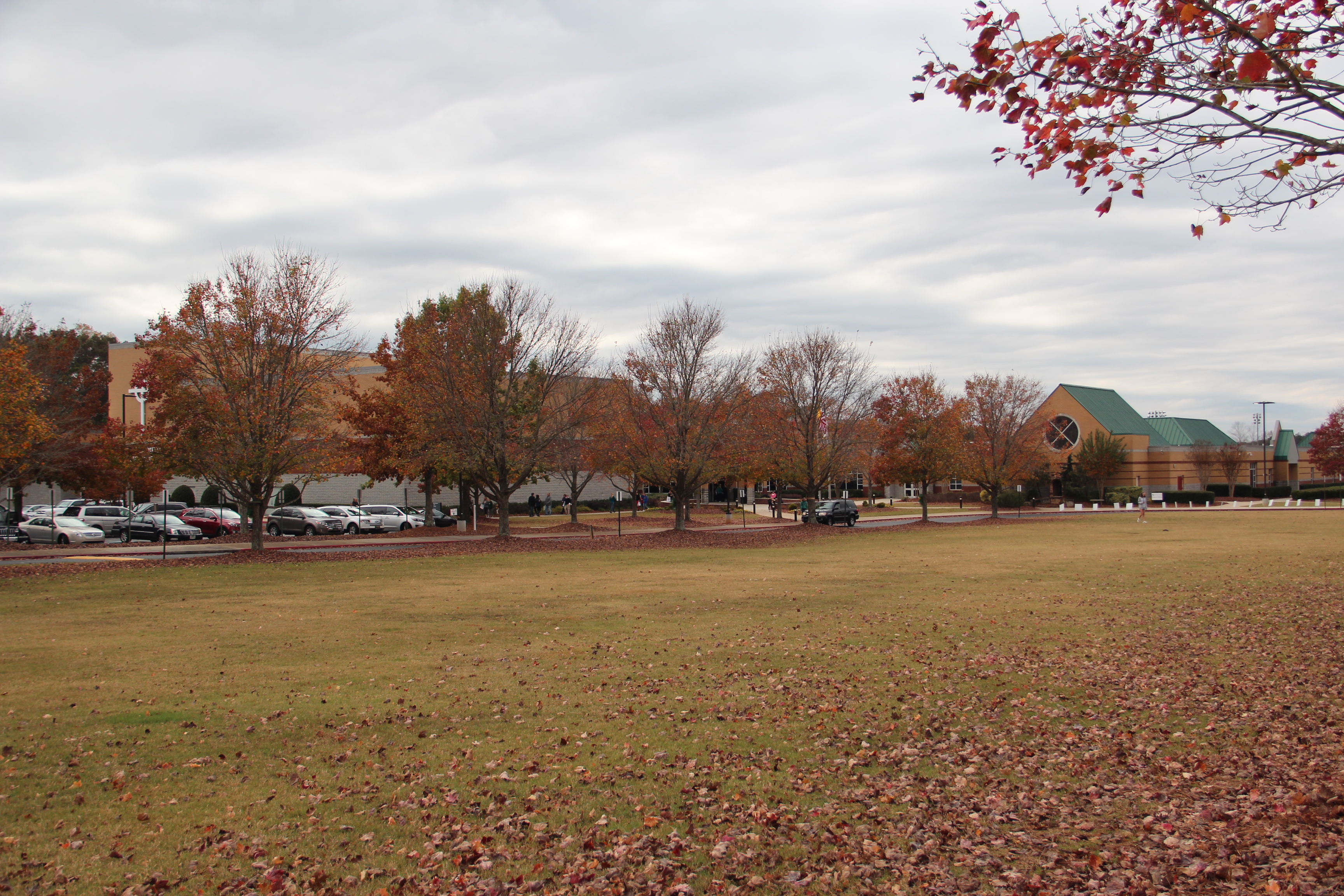 School campus with green-roofed building, autumn trees, and open lawn.