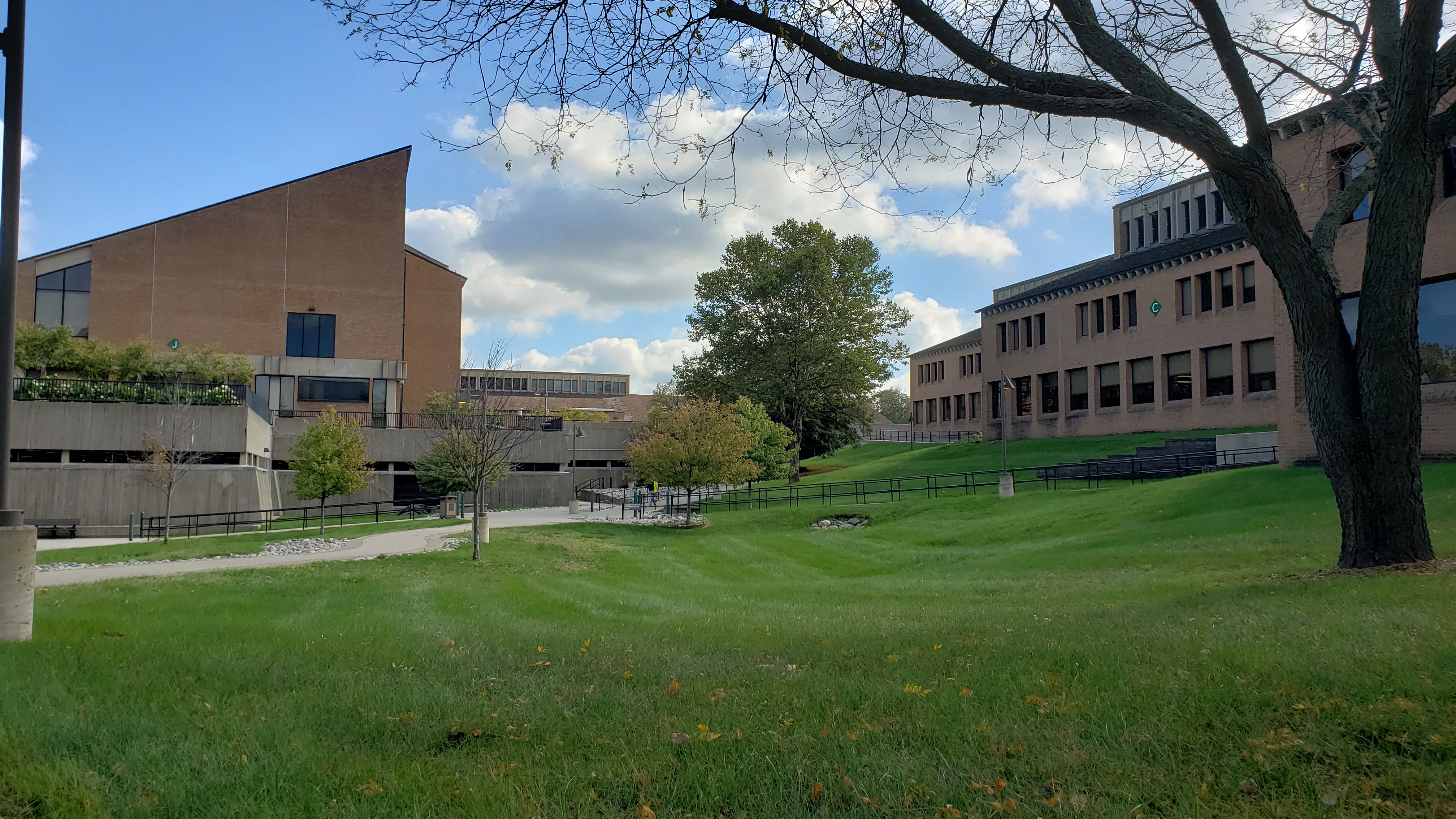 Brick college campus buildings across a grassy lawn with trees in autumn foliage.