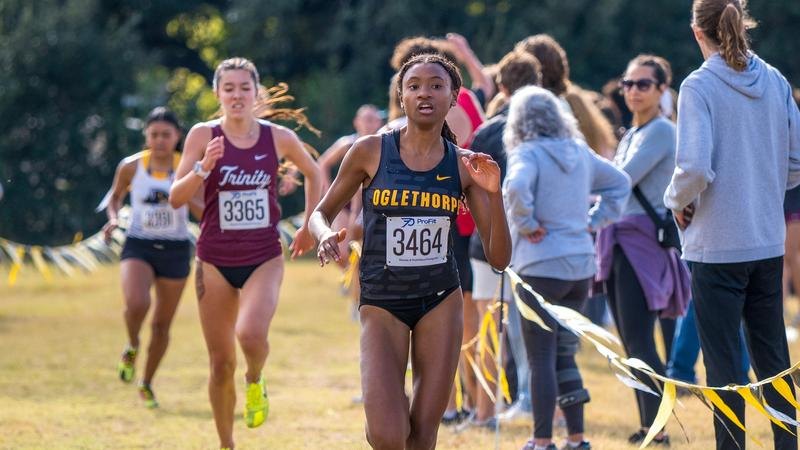 Female runner in Oglethorpe uniform racing on a grass cross country course.