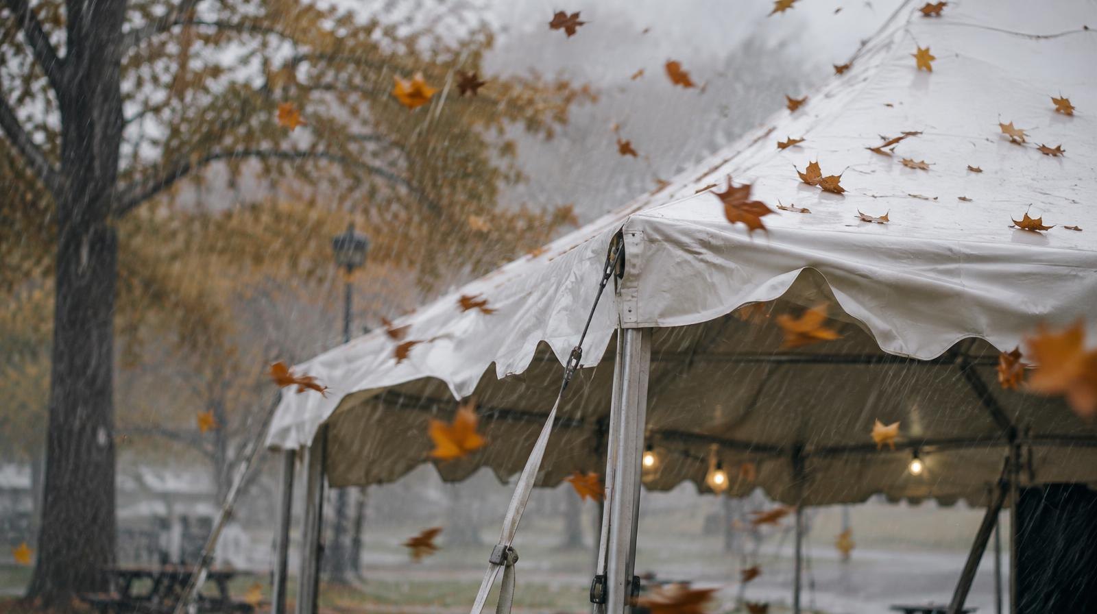Outdoor park pavilion in heavy rain with leaves blowing in strong wind.
