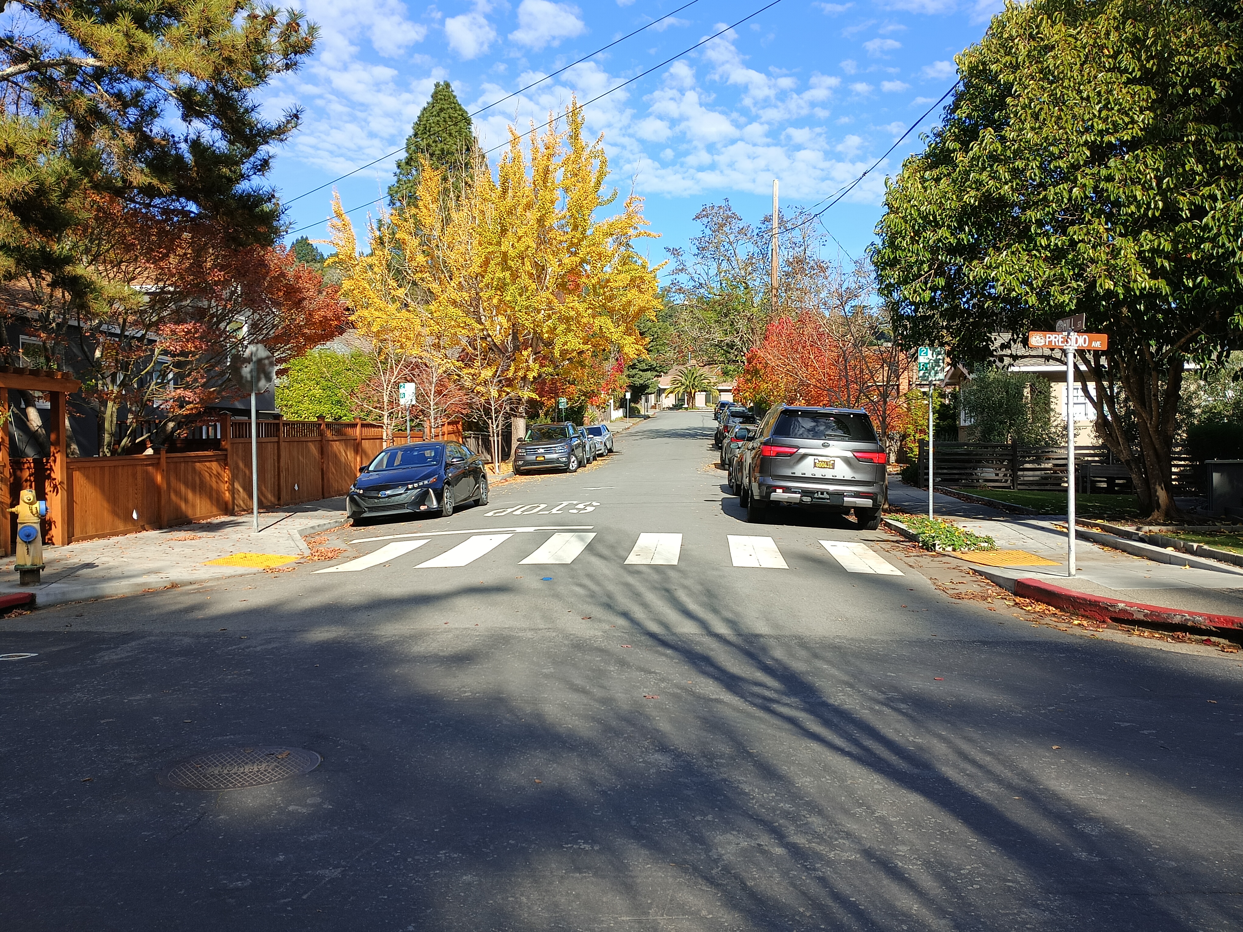 Quiet street intersection with parked cars, crosswalk, and autumn trees in downtown Mill Valley.