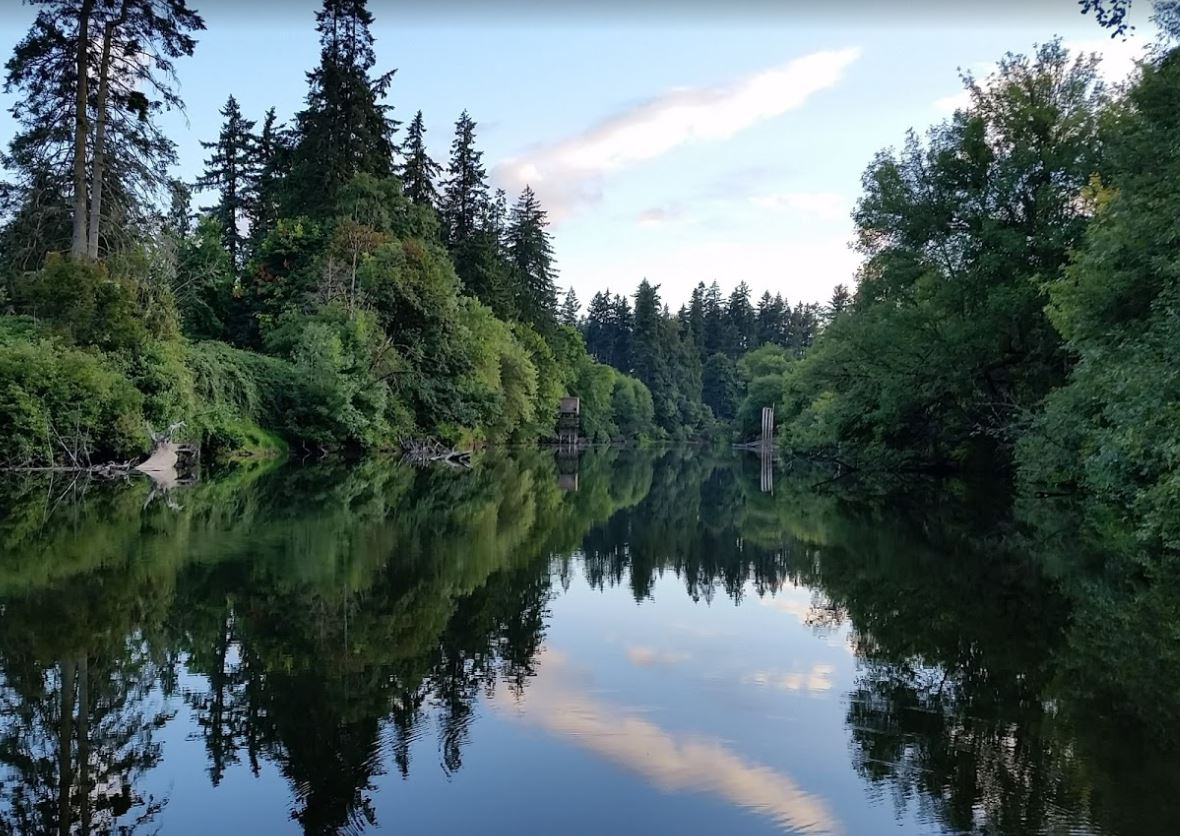 Calm river reflecting evergreen and deciduous trees on both banks at dusk.