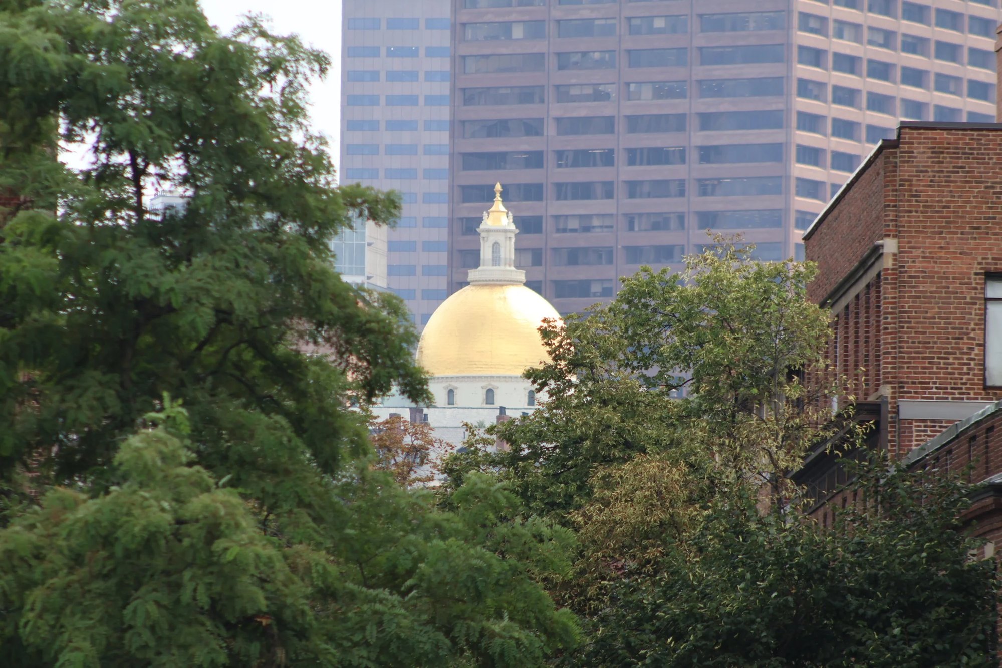 Gold dome of the Massachusetts State House rising above green trees.