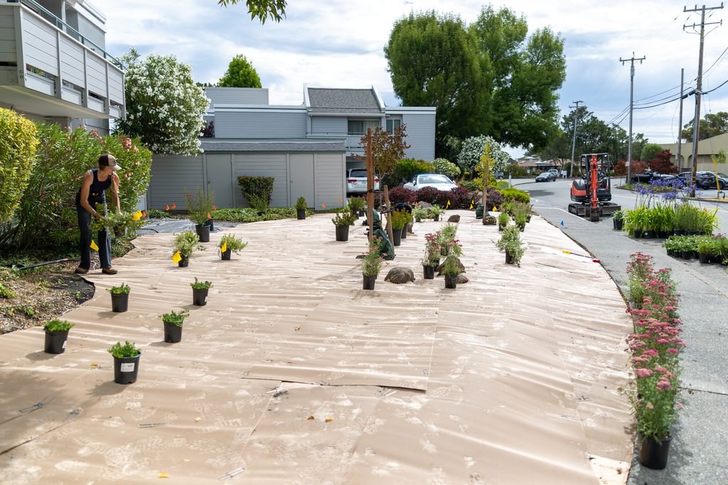 Person arranging potted plants on brown sheet mulch with a small orange excavator visible in the background.