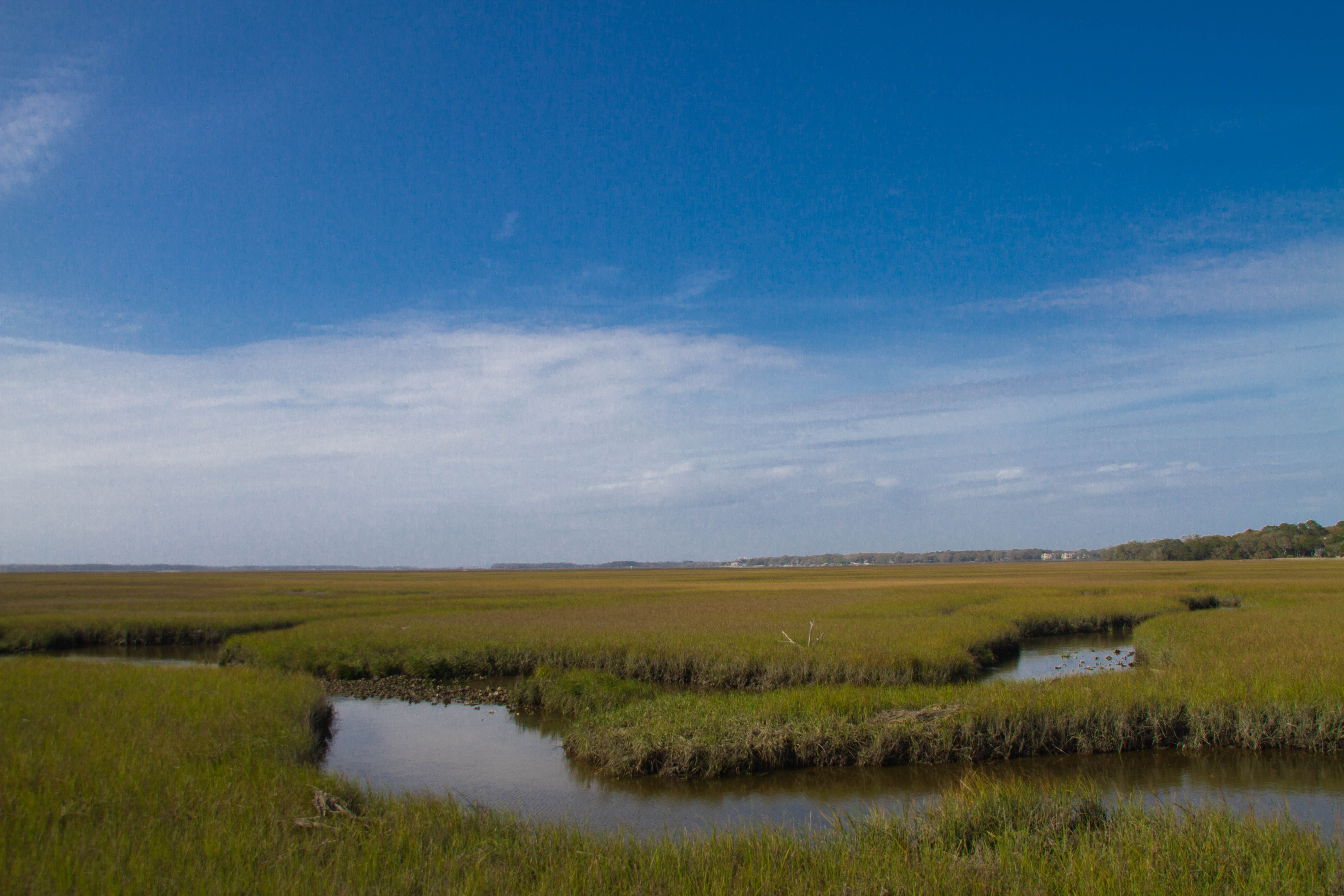 Expansive coastal marsh with tidal channels and green grasses stretching to the horizon.