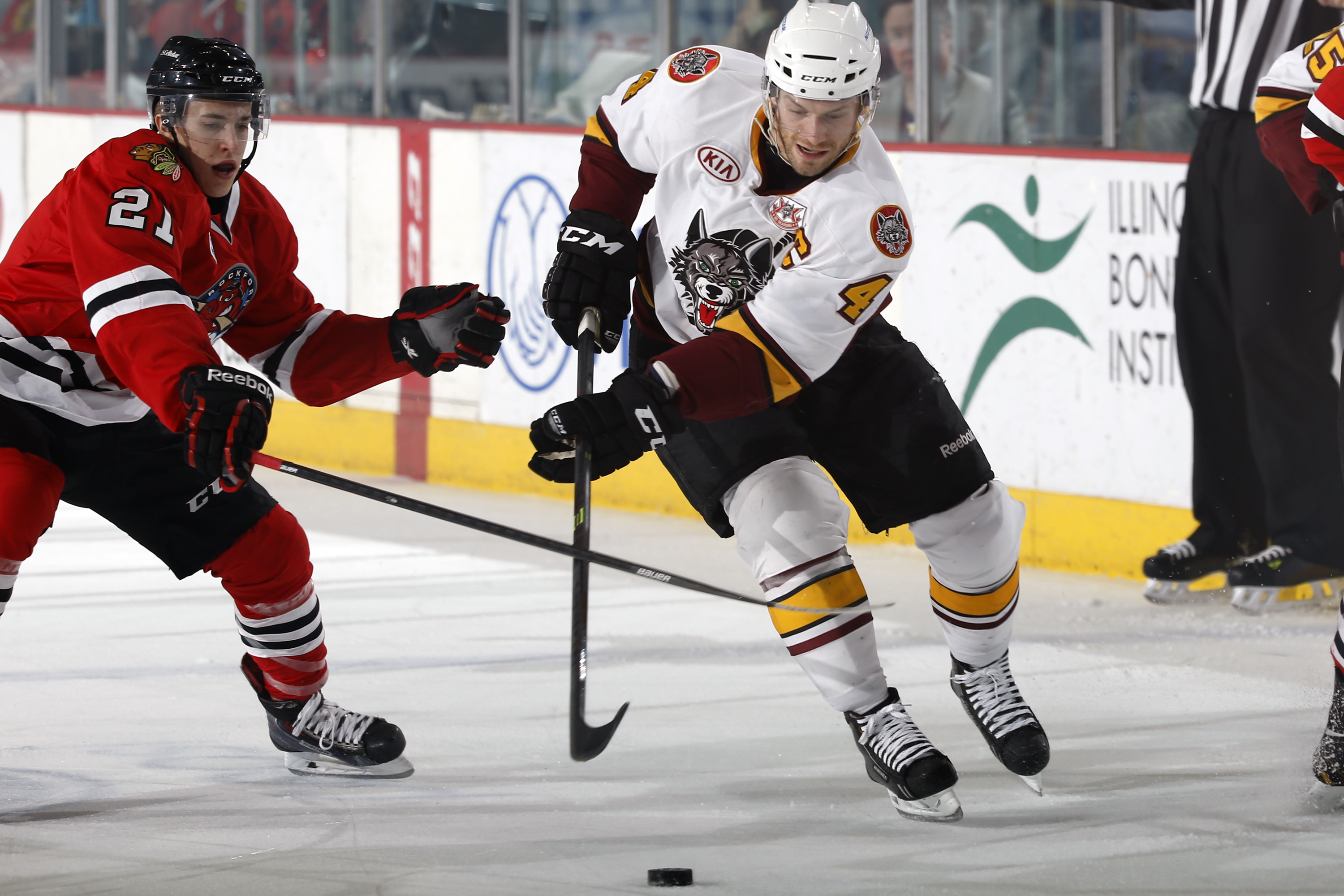 Two hockey players compete for the puck on an indoor ice rink.