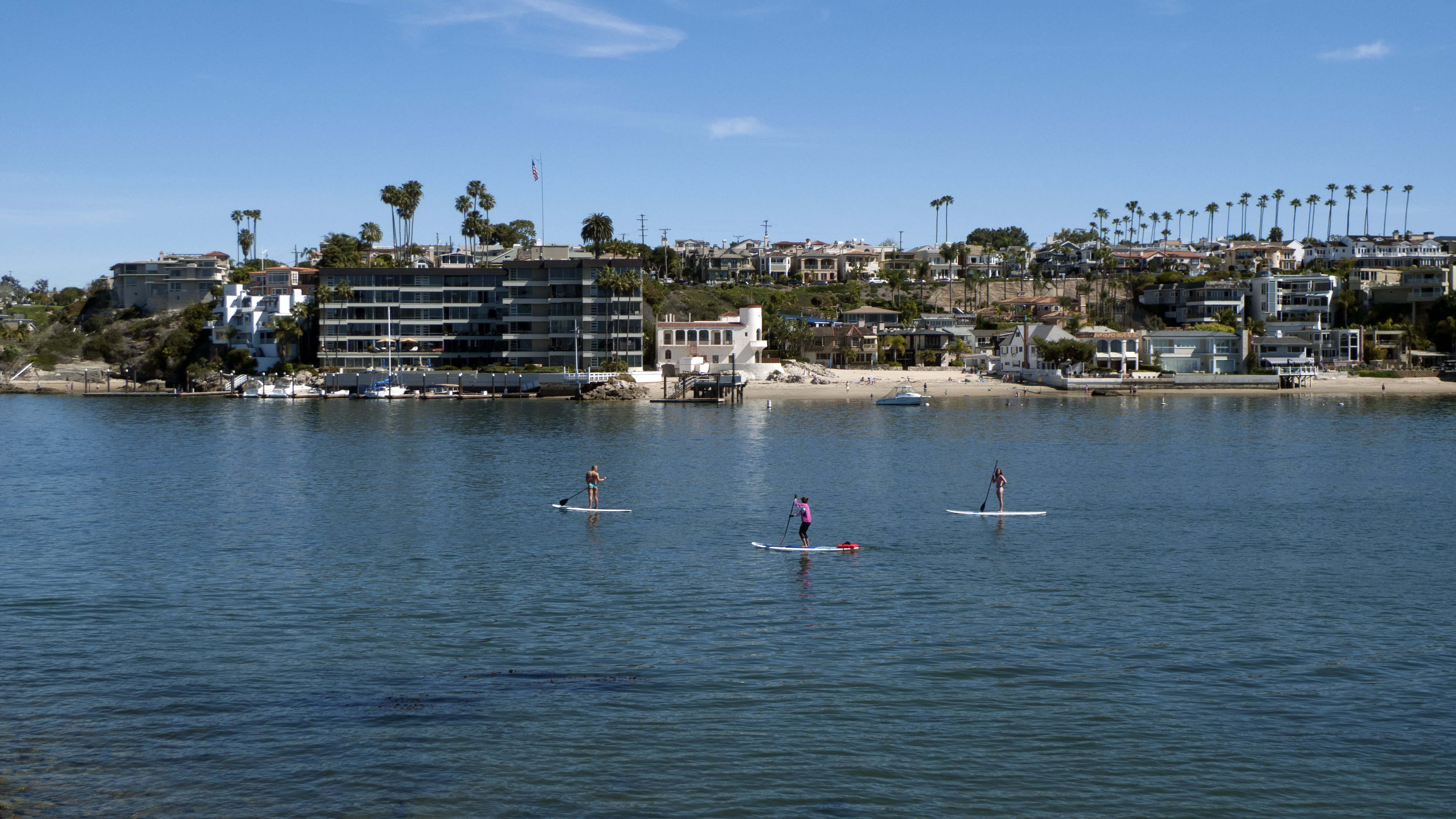Three paddle boarders on calm bay water with waterfront buildings and palm trees behind them.