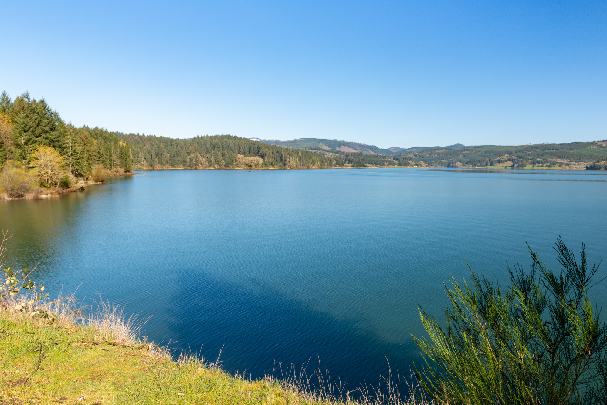 Calm blue lake surrounded by conifer-forested hills under a clear blue sky.