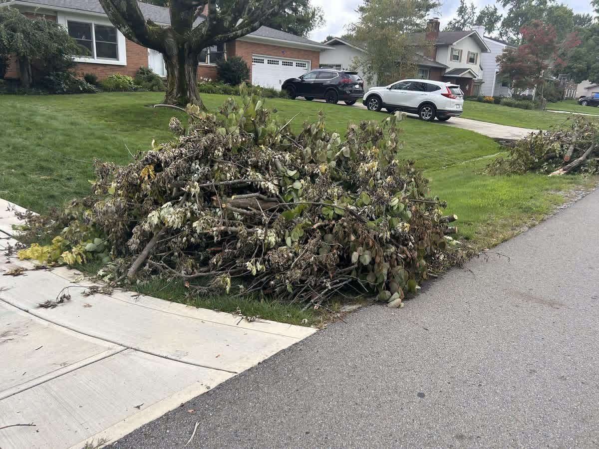 Large pile of cut tree branches stacked at the curb of a suburban street.
