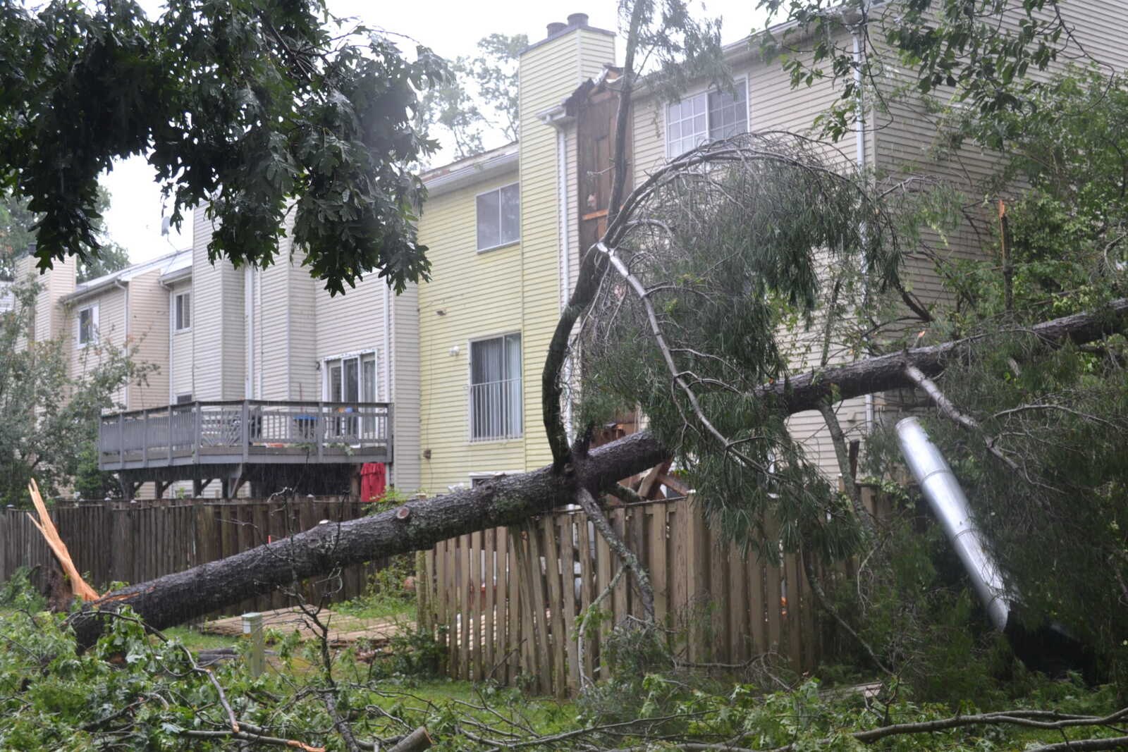 A large fallen tree crushing a wooden fence in a residential neighborhood with townhouses.