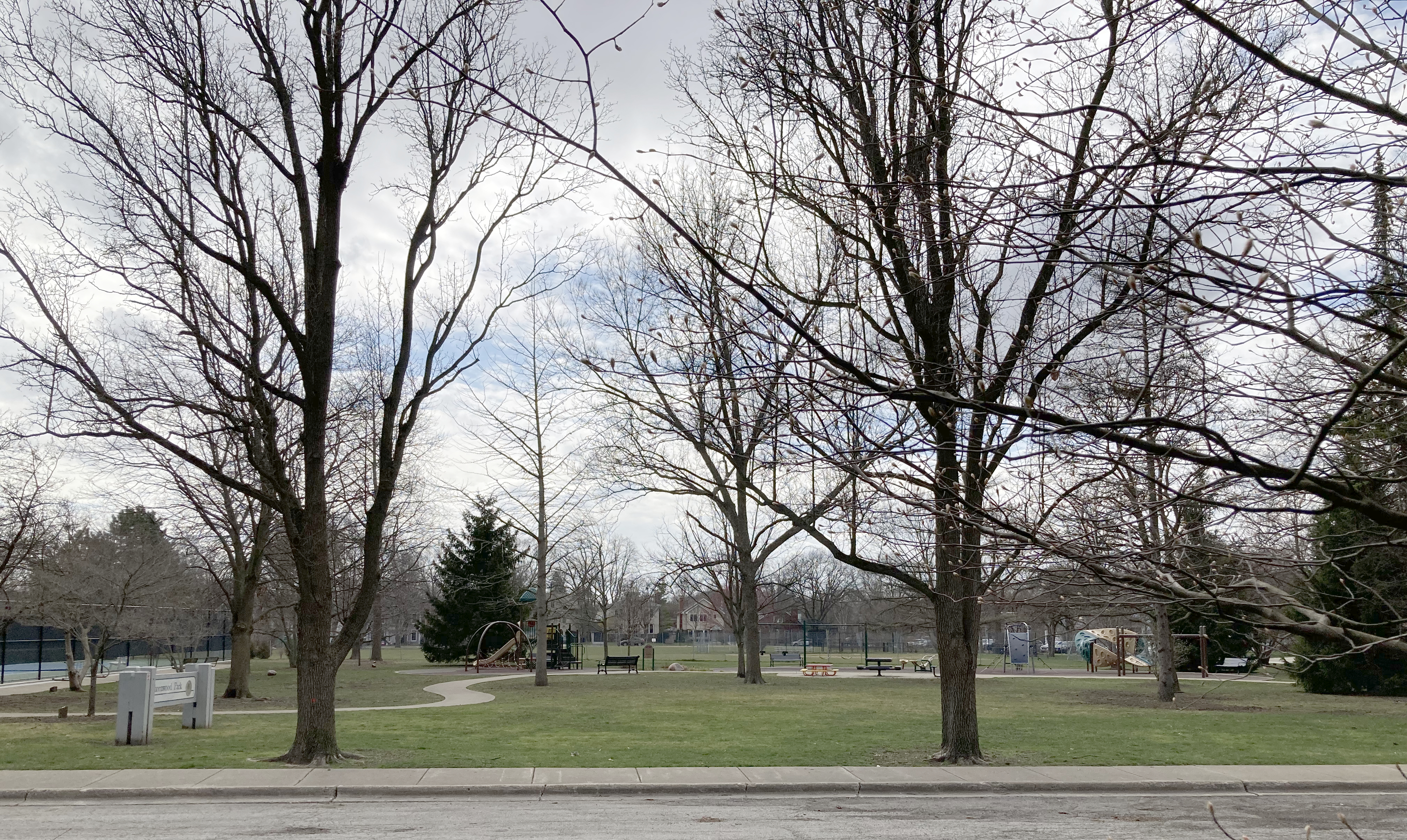 Open grassy park with mature trees and a paved path in Wilmette.