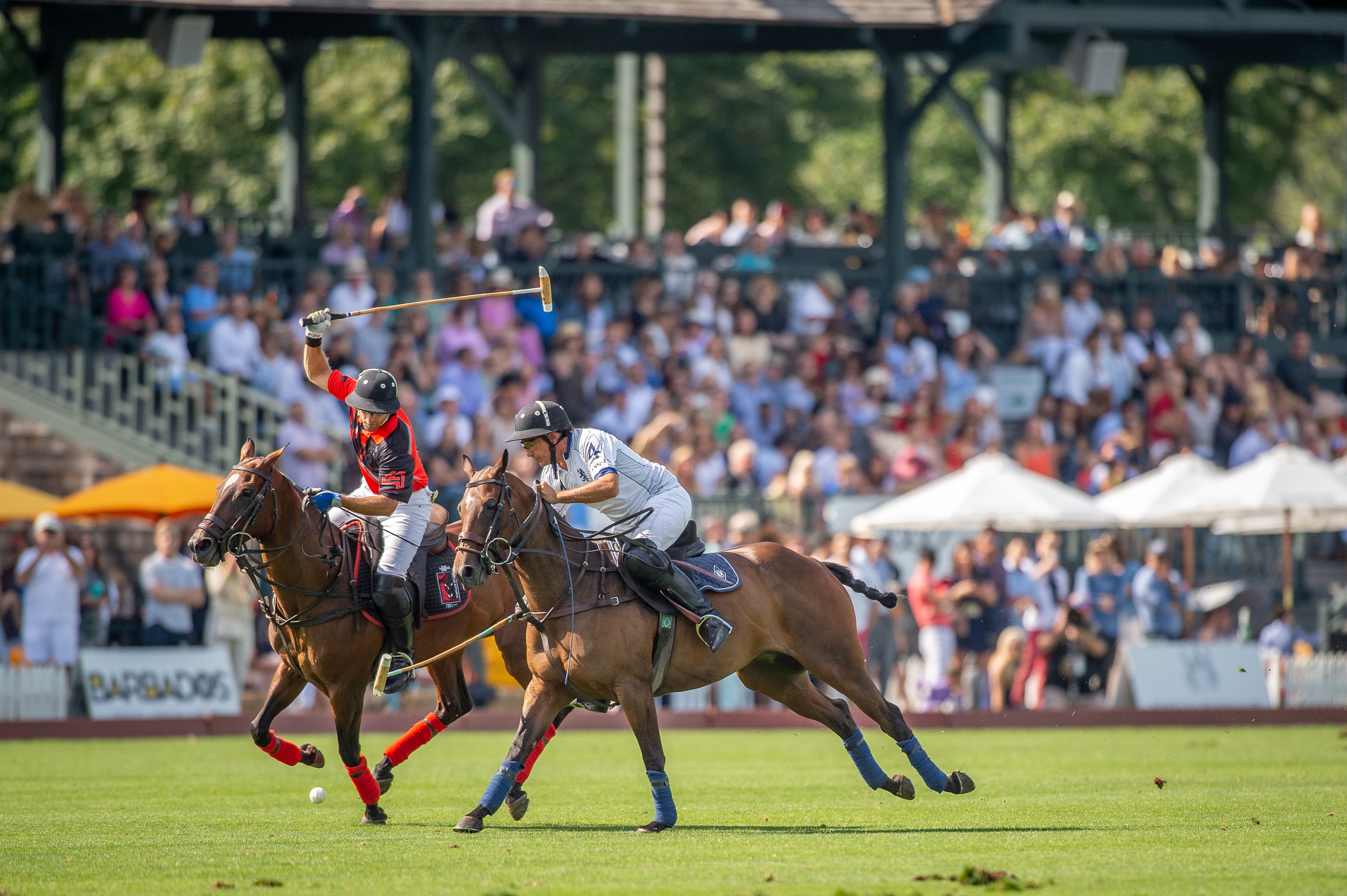 Two polo players on horseback mid-match, one raising a mallet, crowd filling the grandstand behind them.