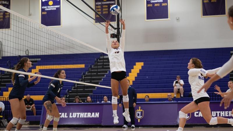Volleyball player in white sets the ball near the net in a purple-and-gold gymnasium.