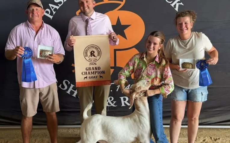 CCISD FFA Students Earn Top Honors at Pasadena Livestock Show and Rodeo
