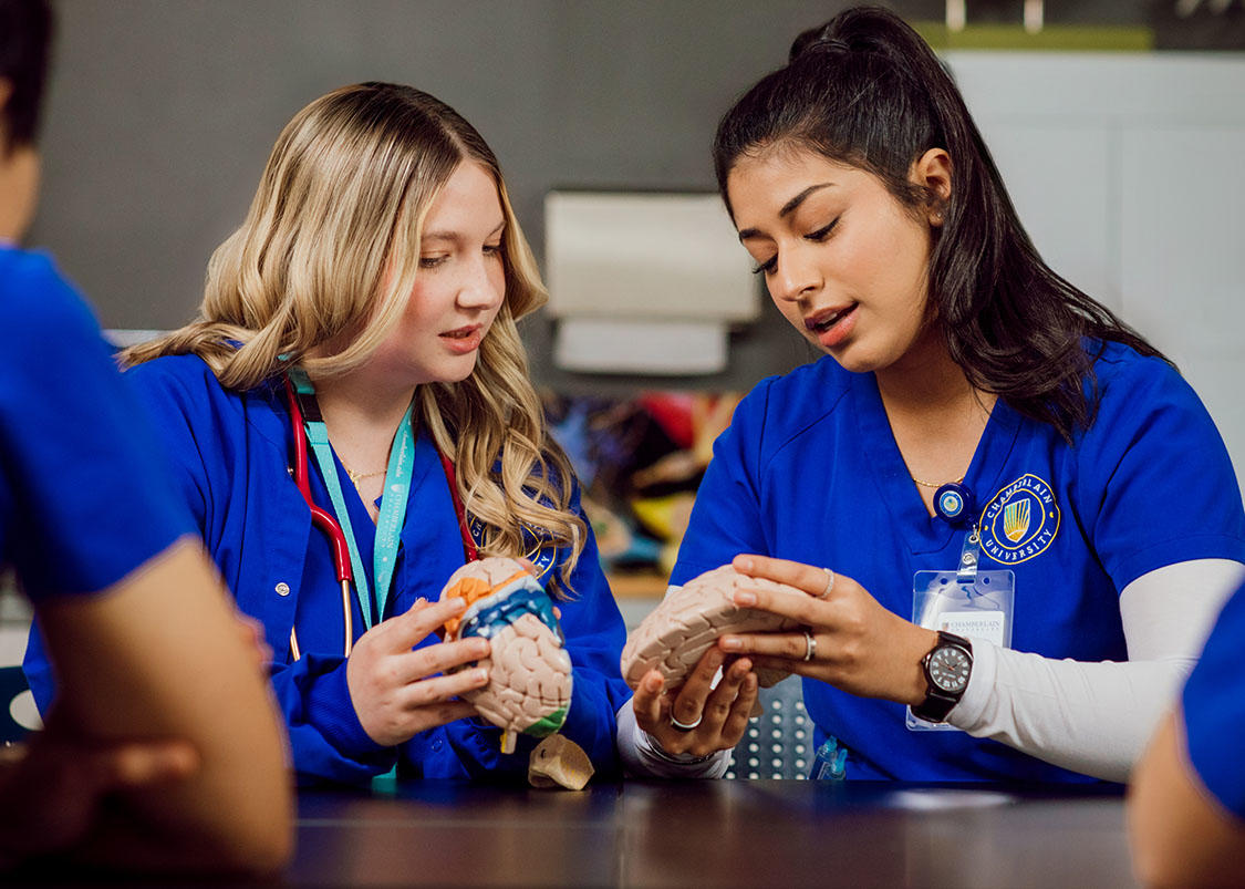Nursing students in blue scrubs analyzing brain.
