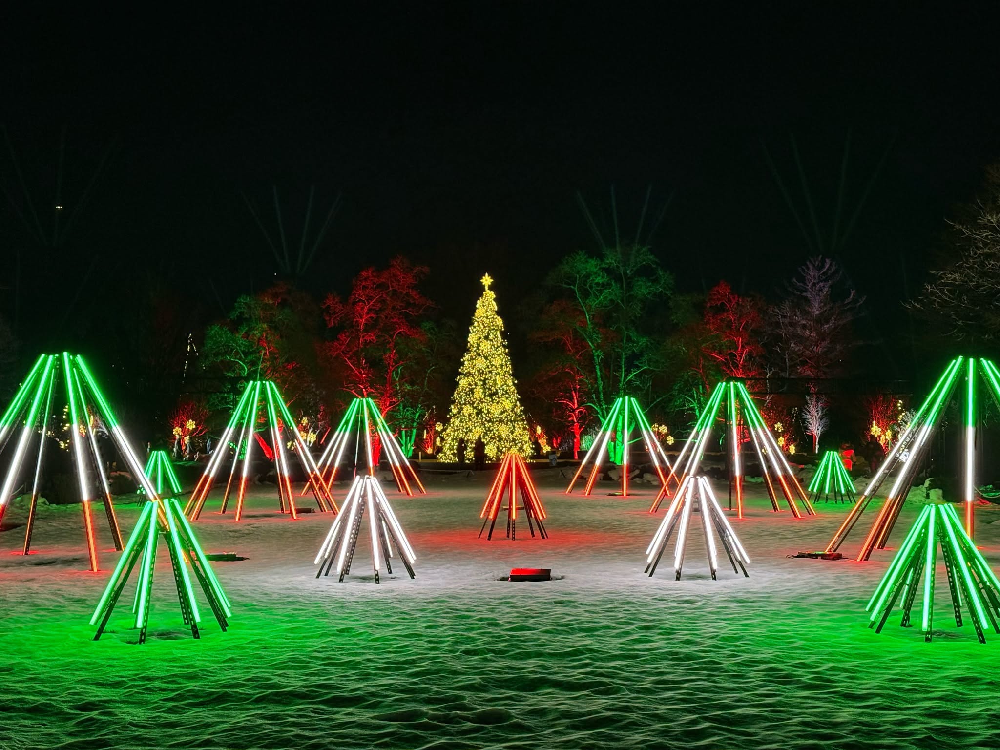 Light Show route through illuminated garden paths, music-orchestrated displays, shimmering holiday scenes, and Cantigny’s towering 28-foot Christmas tree.